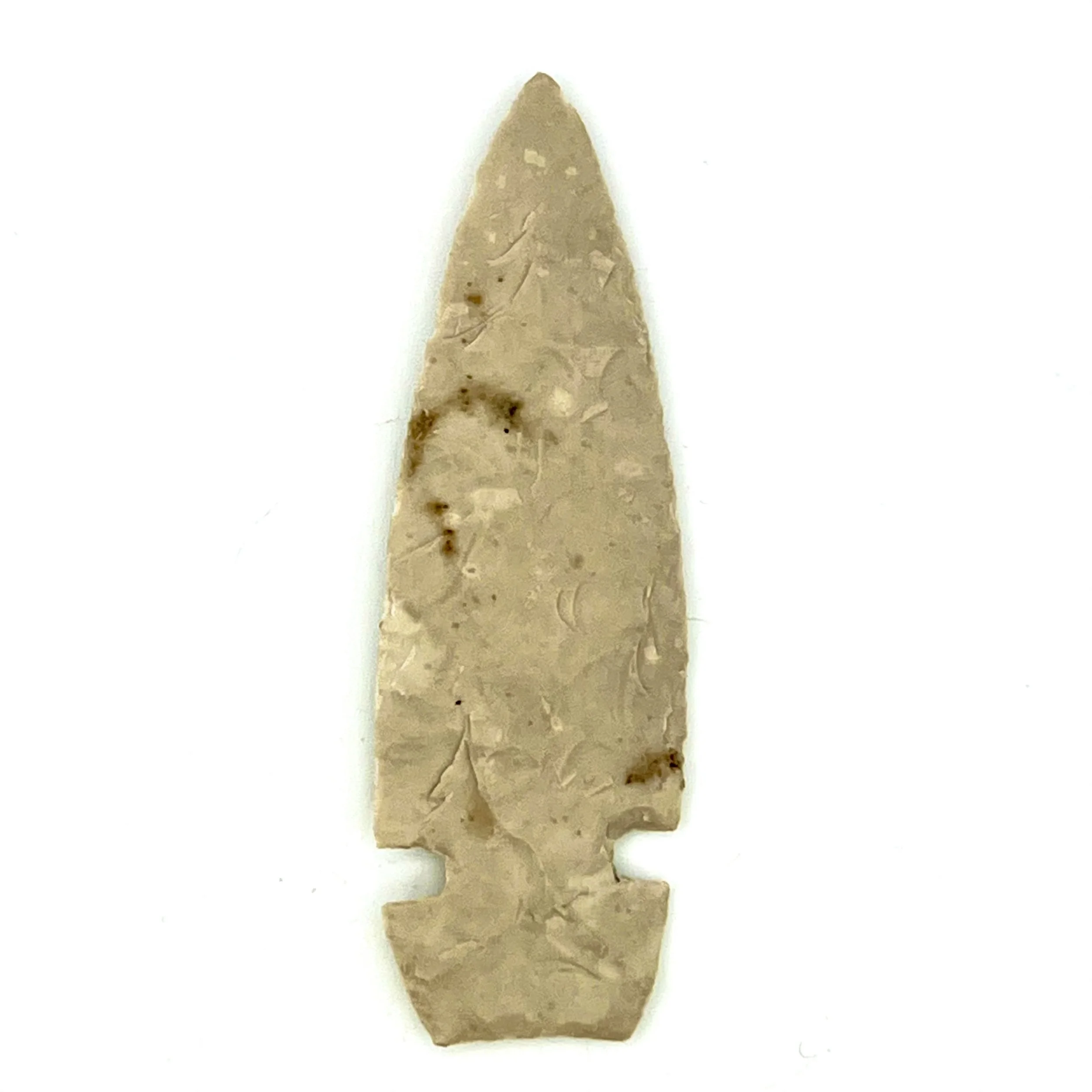 IMG_4318.jpeg