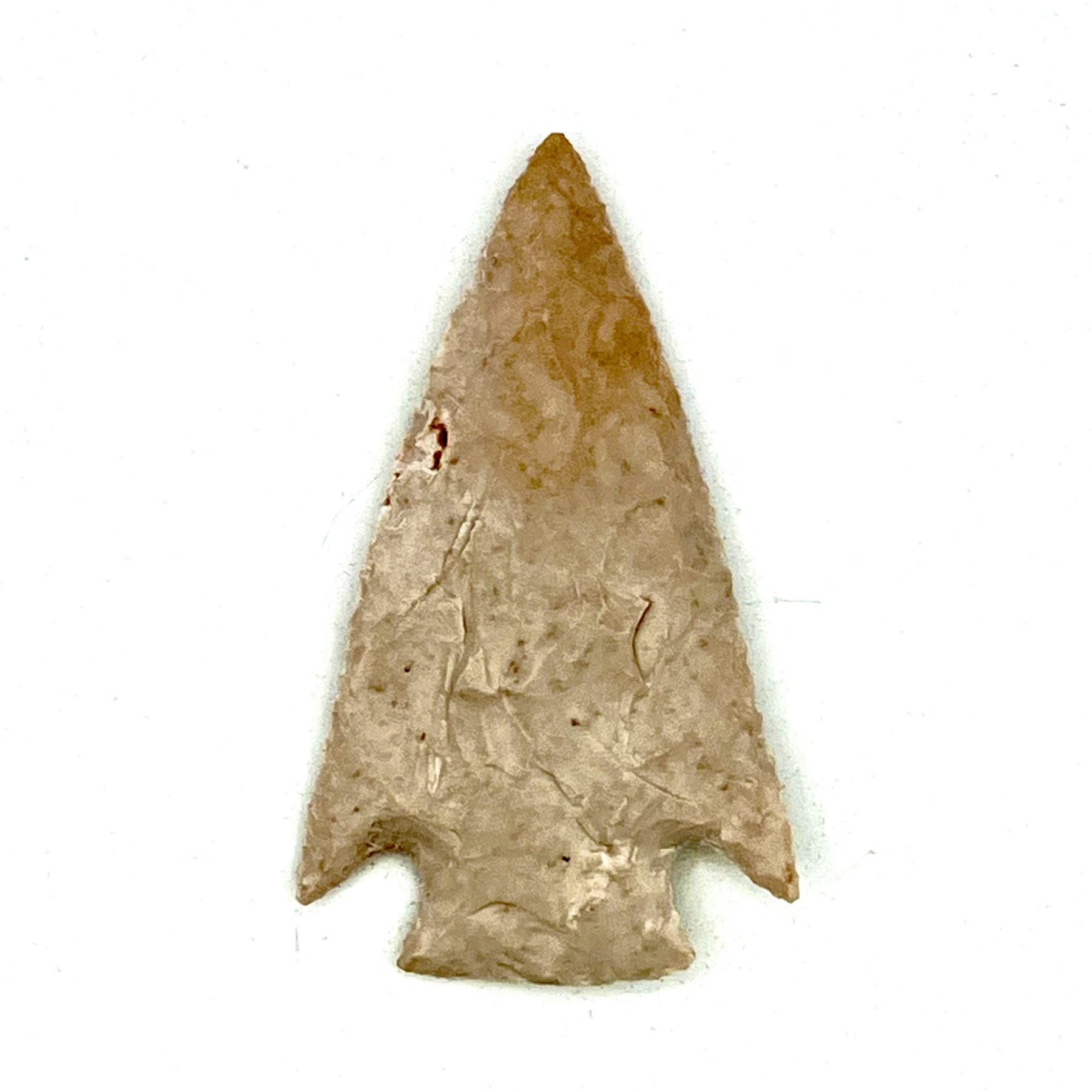 14 (1).png
