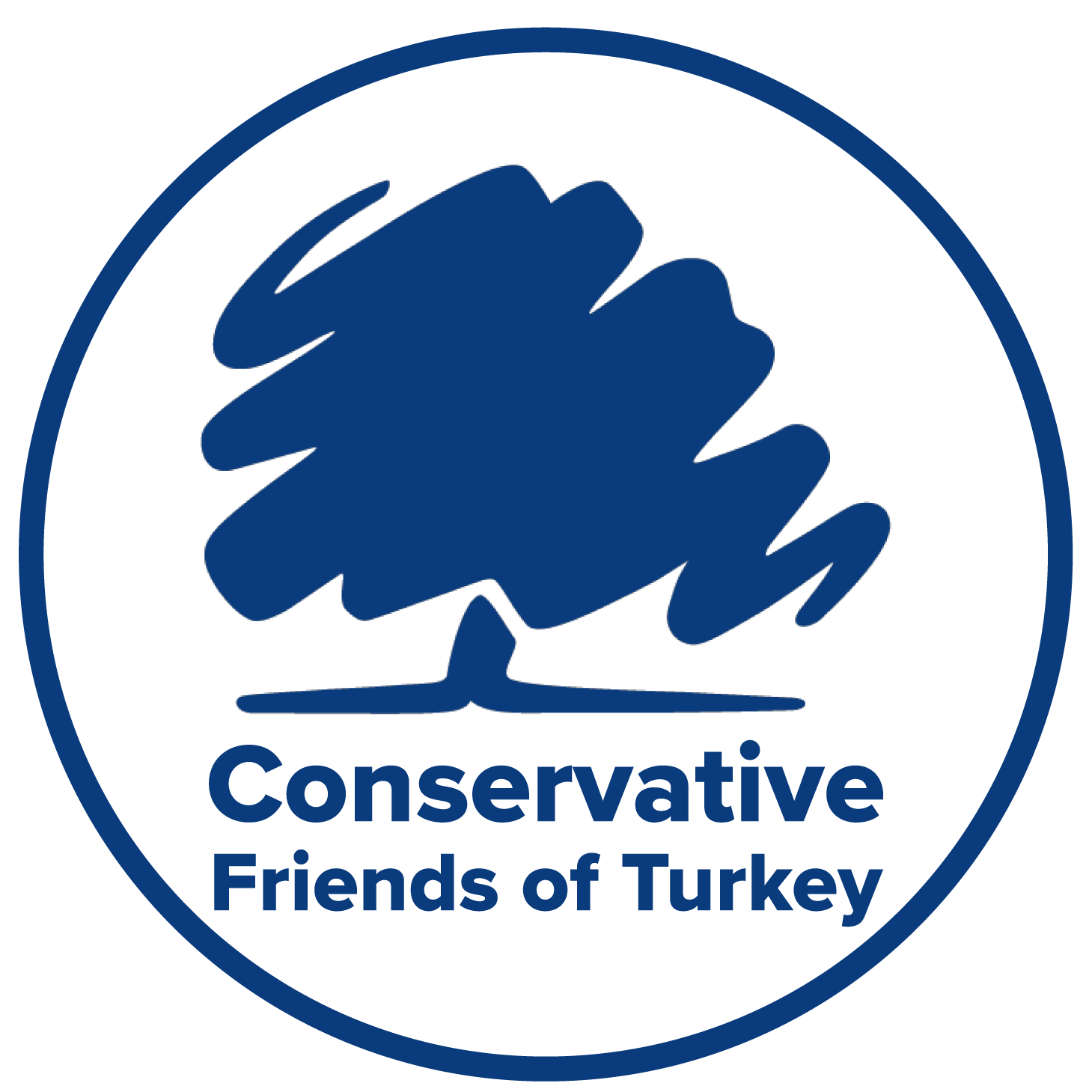 Conservative Friends of Turkey