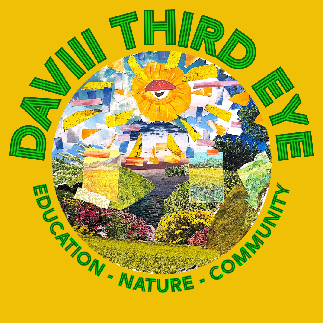 Daviii Third Eye - Education | Community | Nature