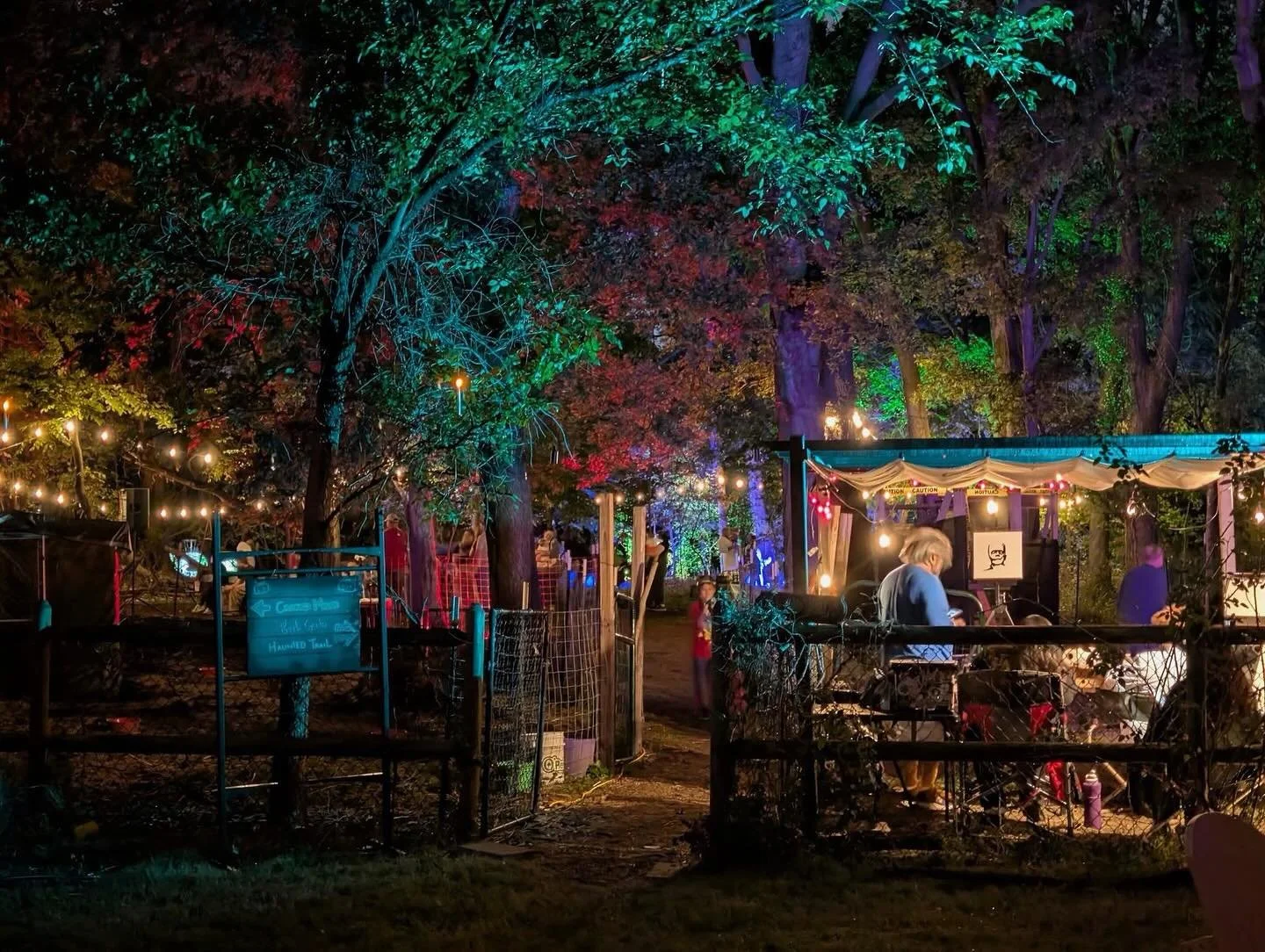 Photo credit: Jenny Thompson 2025
#suburbannaturebubble #daviiithirdeye  #homesteaddistrictba