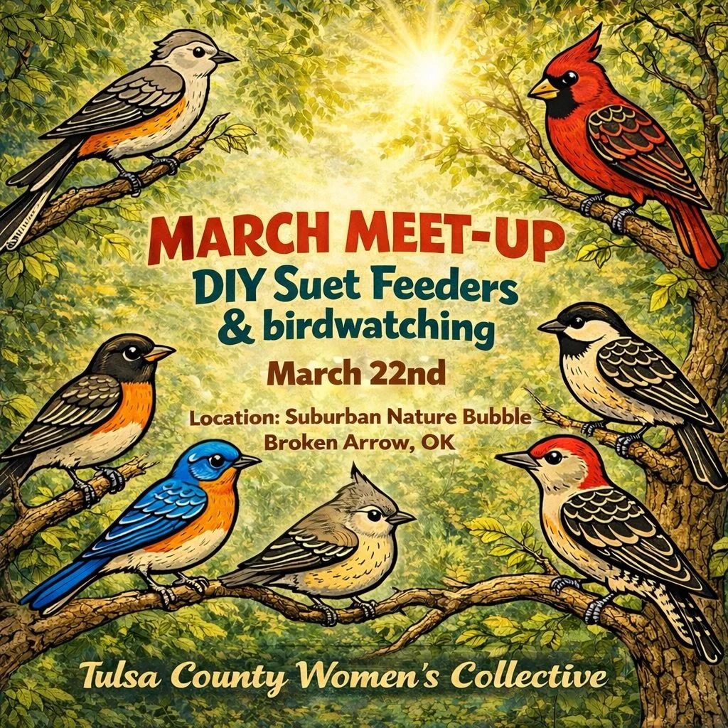Tulsa County Women's Collective Monthly Meetup