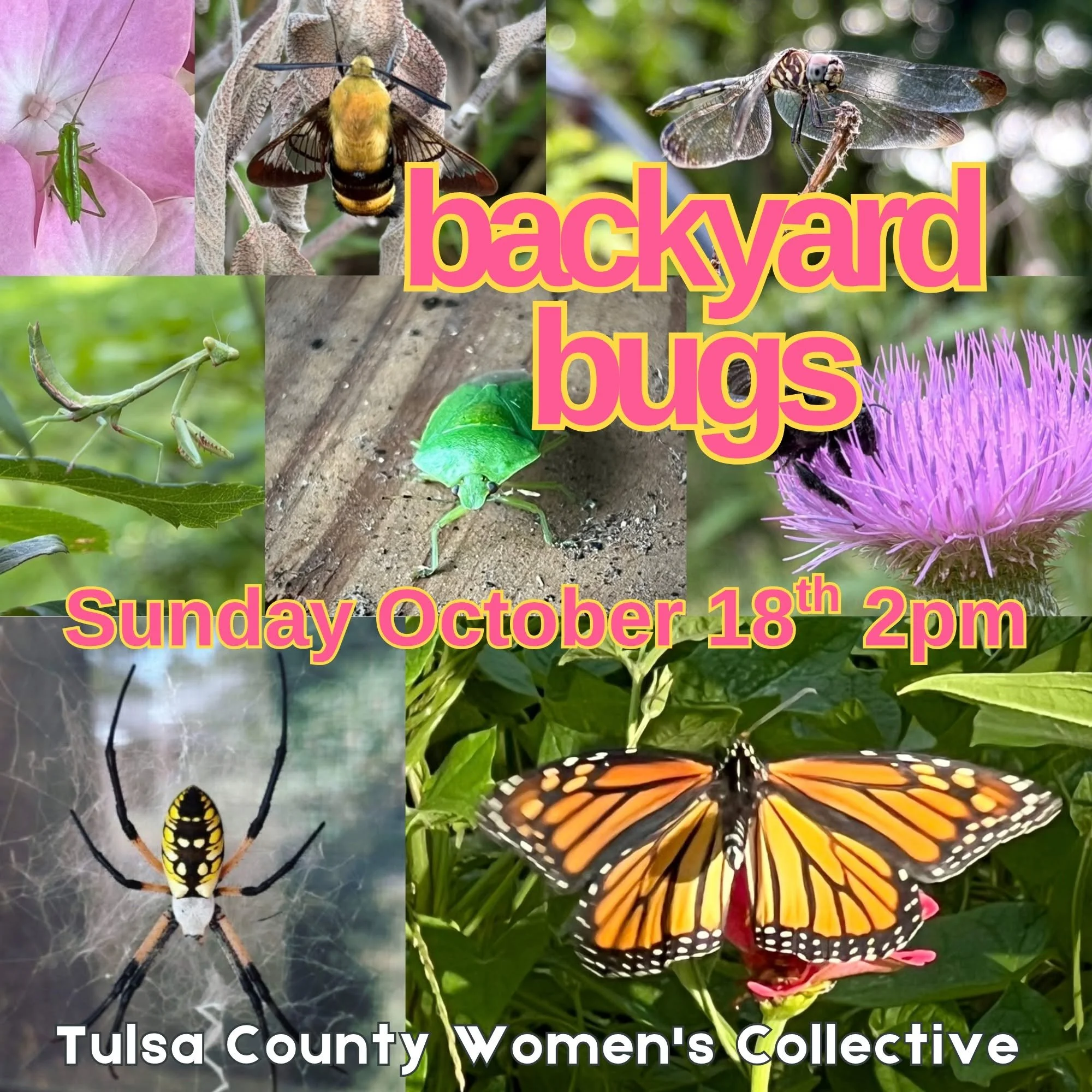 Tulsa County Women’s Collective October Meetup
