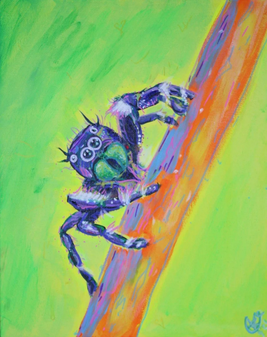 J Spider 2 cropped.jpg