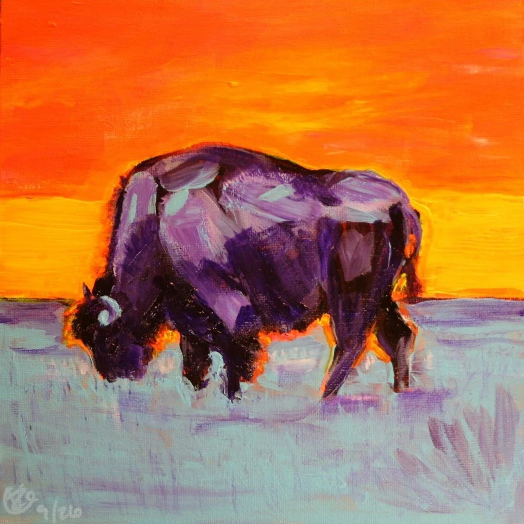 Bison cropped.jpg