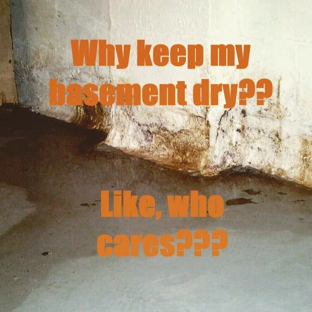 Why keep your basement dry? You&rsquo;re a first time home buyer and you&rsquo;ve never had a basement of your own. All your aunts and uncles and your mom and dad are telling you &ldquo;keep your basement dry!&rdquo; But why? And how? 
Moisture in th