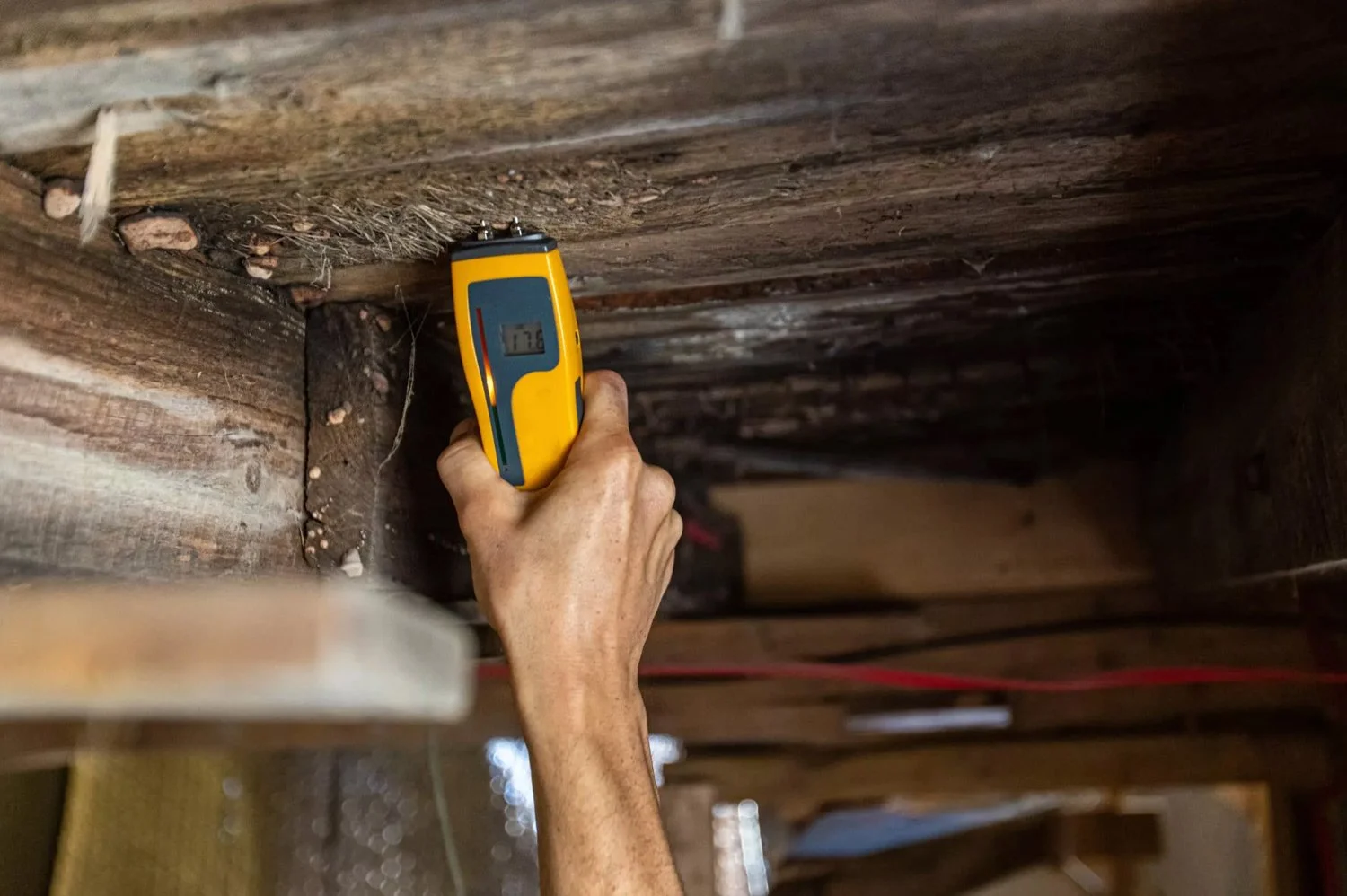 pest-inspection.jpg