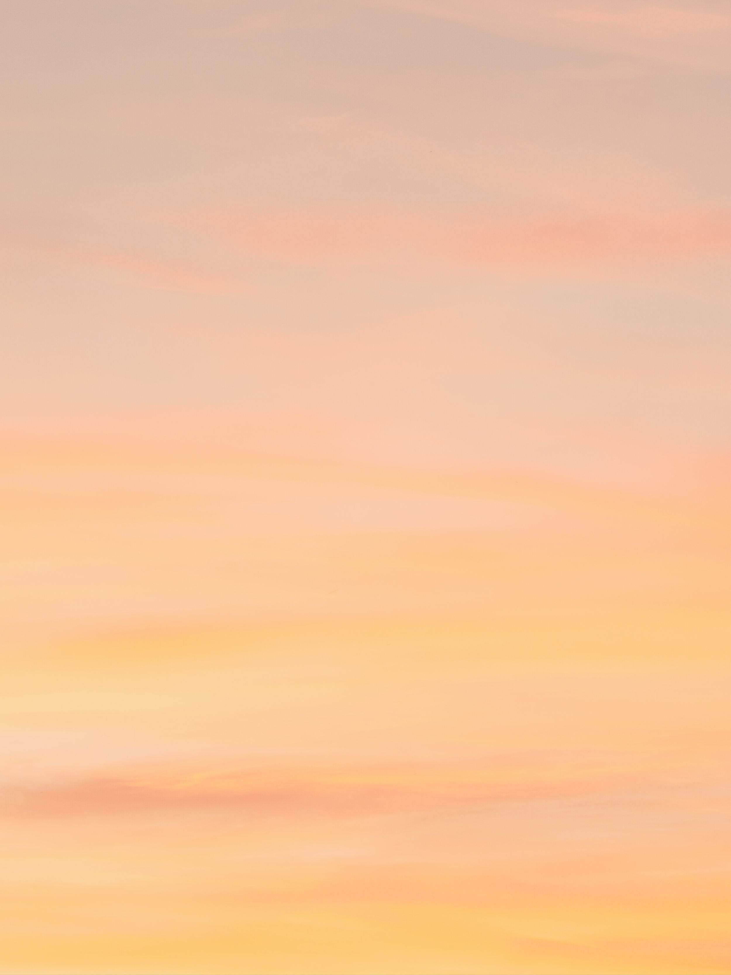 Sunset Field - Graphic Ideas (9).png