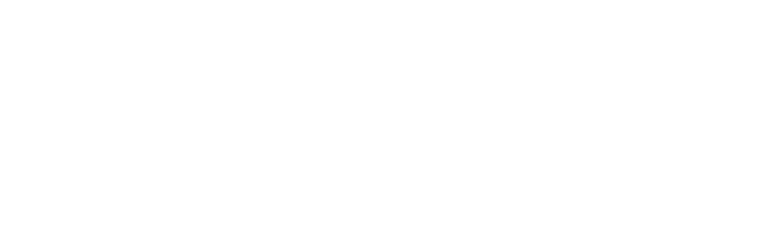 WebWithDan logo