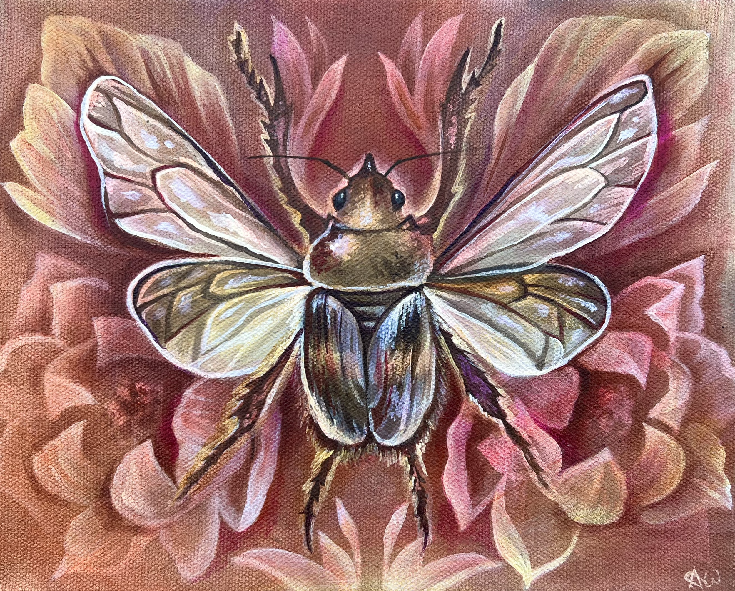 A painting of a bee with translucent wings resting on pink and coral flower petals.