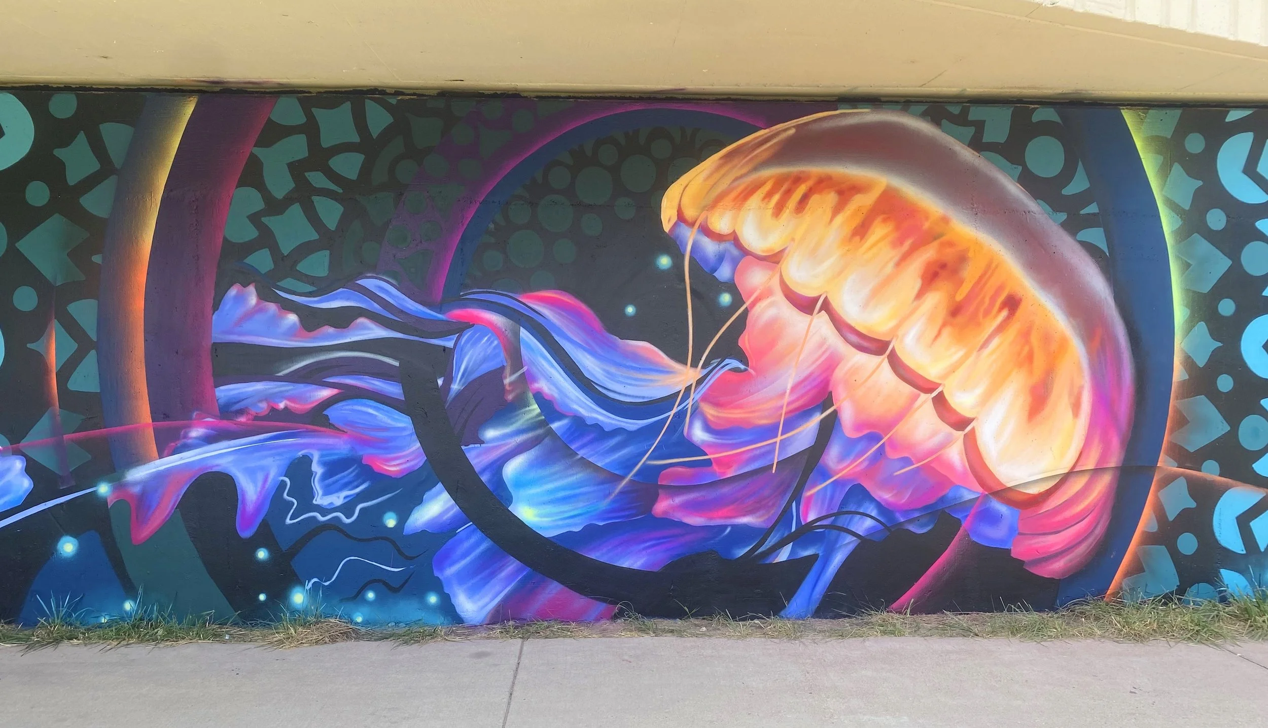 Colorful graffiti mural of jellyfish with flowing tentacles, vibrant colors, and abstract background patterns on a wall.