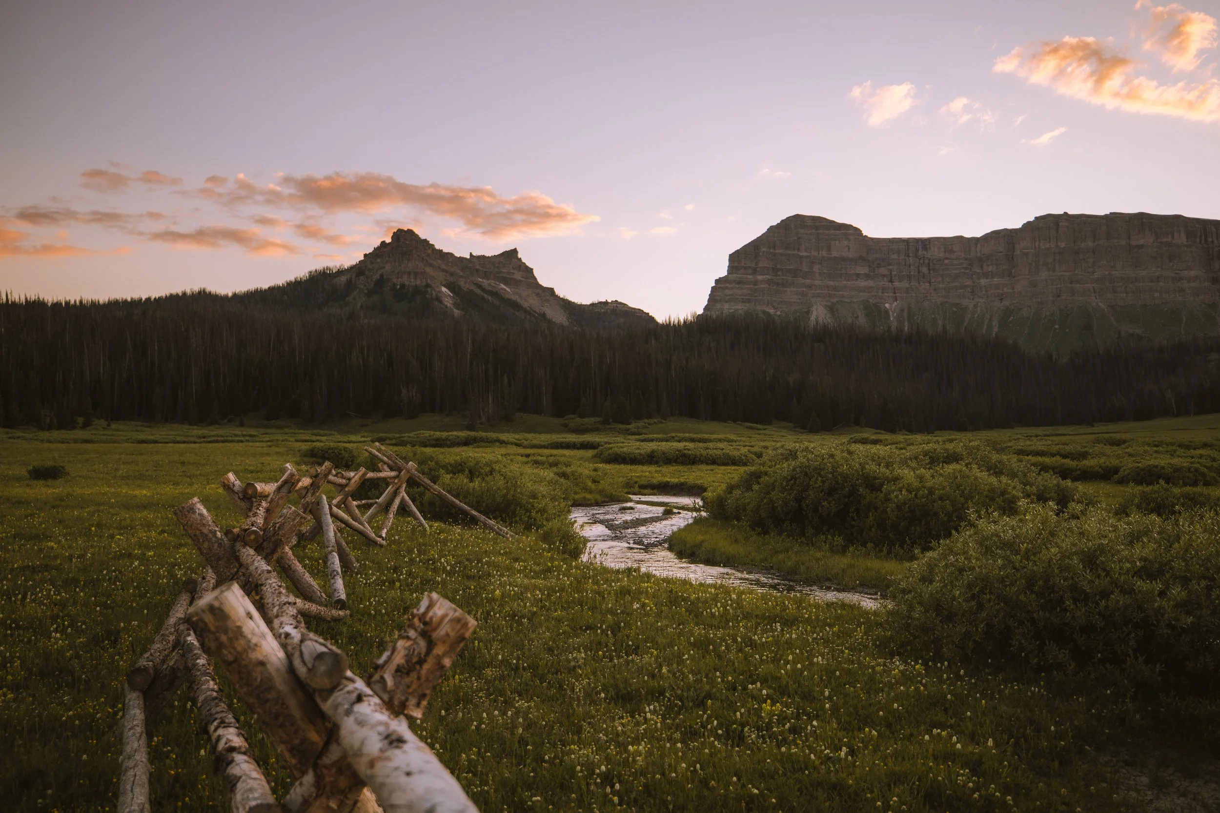 The American West