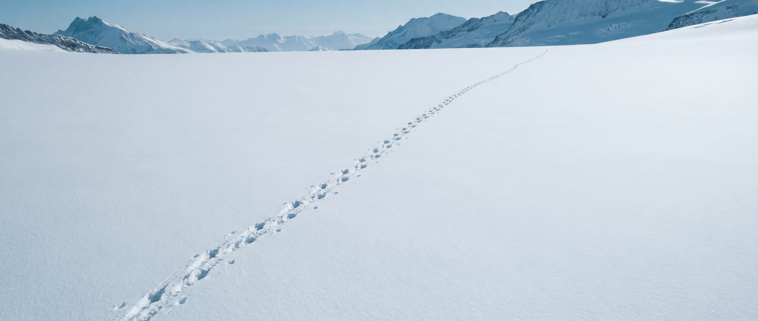 hf_20260120_221325_44276183-f324-4746-a4ef-4f8f76c3e98a (1).png