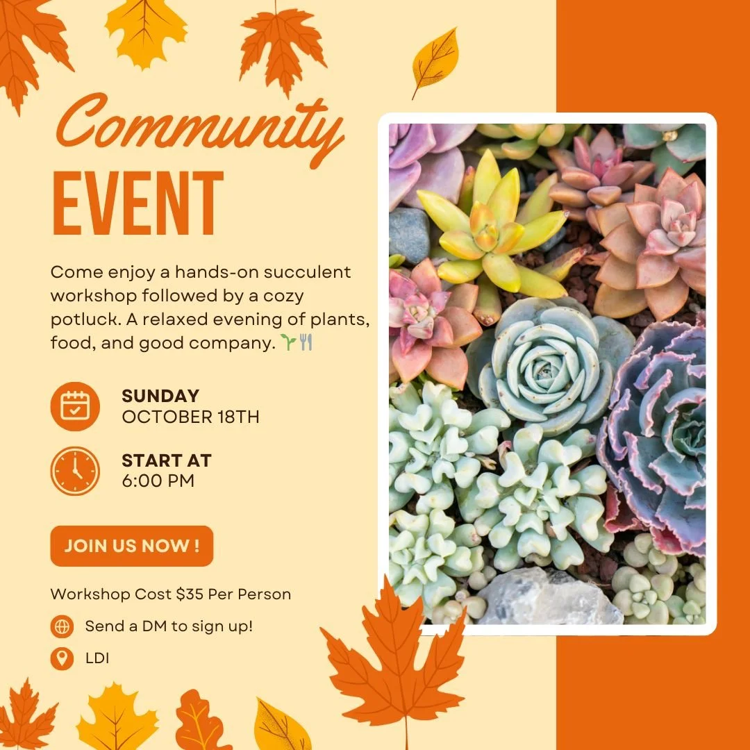Sometimes dog owners need a playdate too! πΎ Our Succulent Workshop is a humans-only event where you can sip, plant, and laugh with fellow dog lovers. For $35, you’ll create your own arrangement and then enjoy a cozy potluck with the group.
Sen