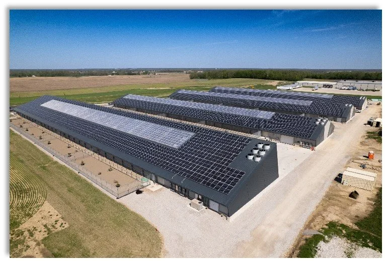 Aerial view of a farm with multiple long, rectangular buildings covered in solar panels, set in a rural area with open fields and clear blue sky.