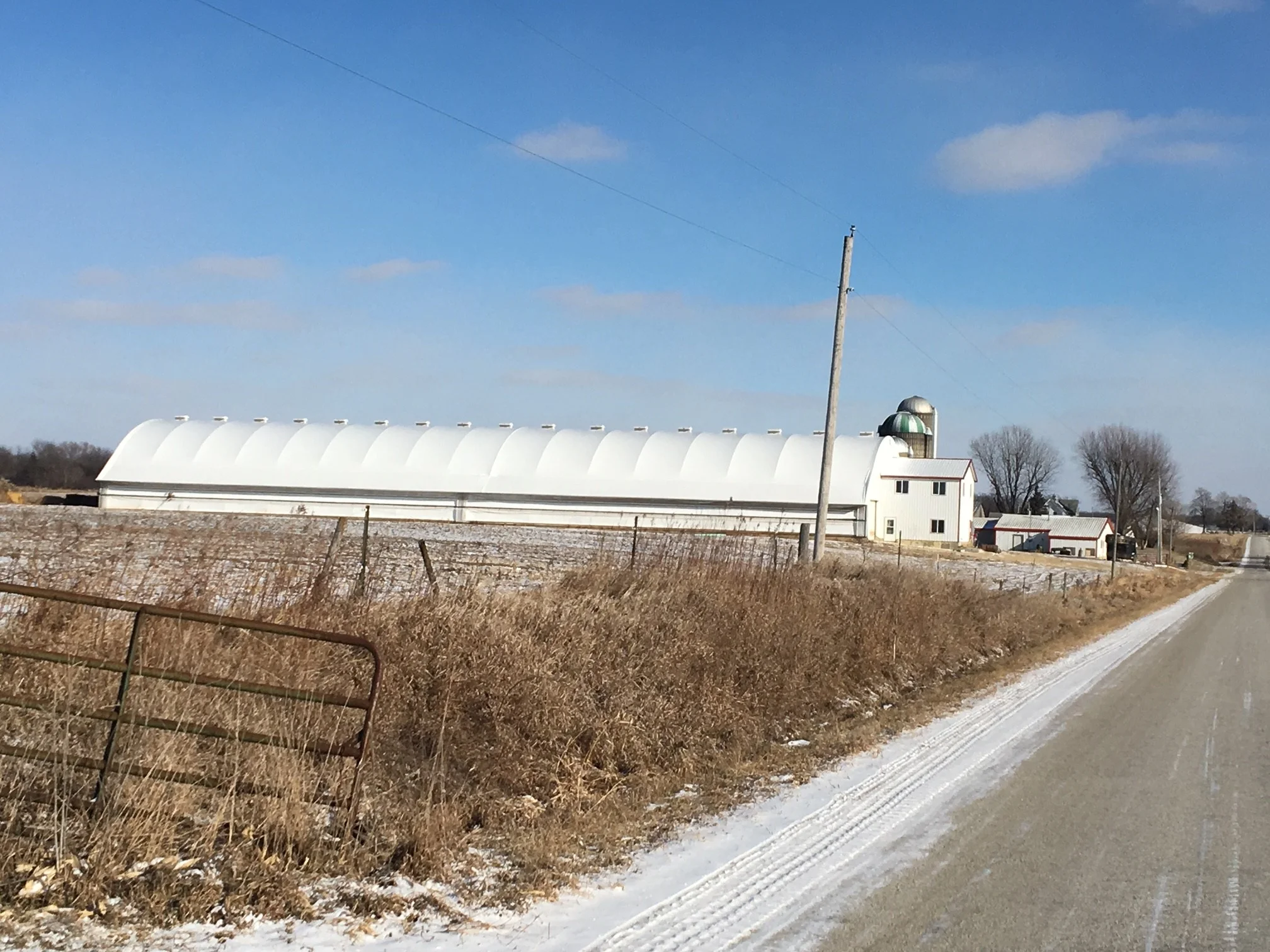 Nelson Knolls Dairy Farm