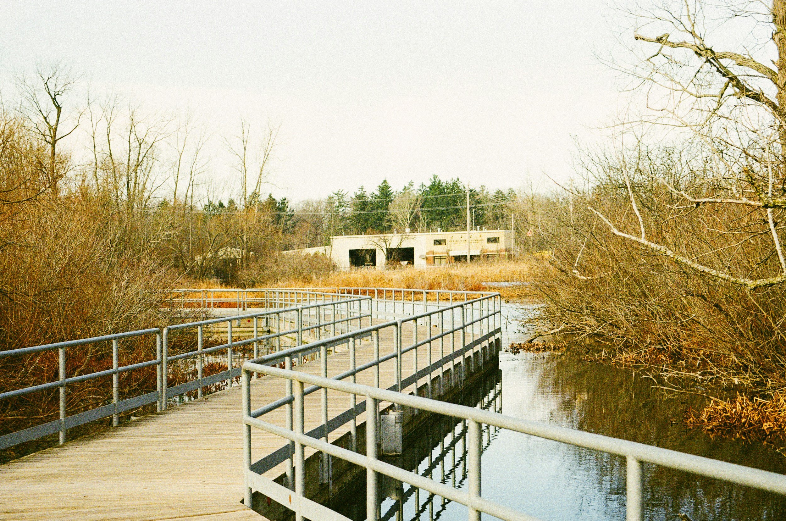 A wooden boardwalk with metal railings extending over a small body of water, surrounded by leafless trees and dry bushes, with a building in the distance under a bright sky.