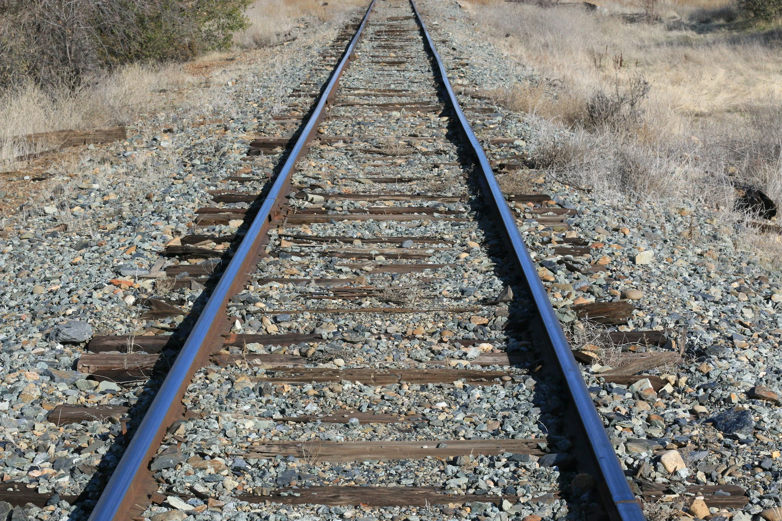 A straight view of railroad tracks running through a dry, grassy landscape with bushes and small trees on both sides.