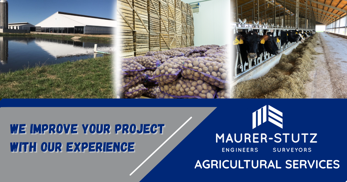 The image is a collage featuring a farm with a pond, sacks of potatoes in a warehouse, and cows eating hay in a barn. There is also a promotional banner for Maurer-Stutz, an engineering and surveying firm, offering agricultural services.