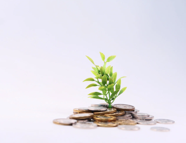 Why Hiring a Grant Writer Can Increase Your Chances of Winning