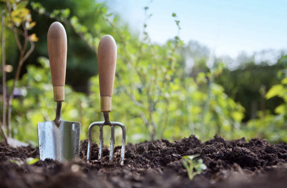 Farm to School Grants—Growing Healthy Kids and Local Economies