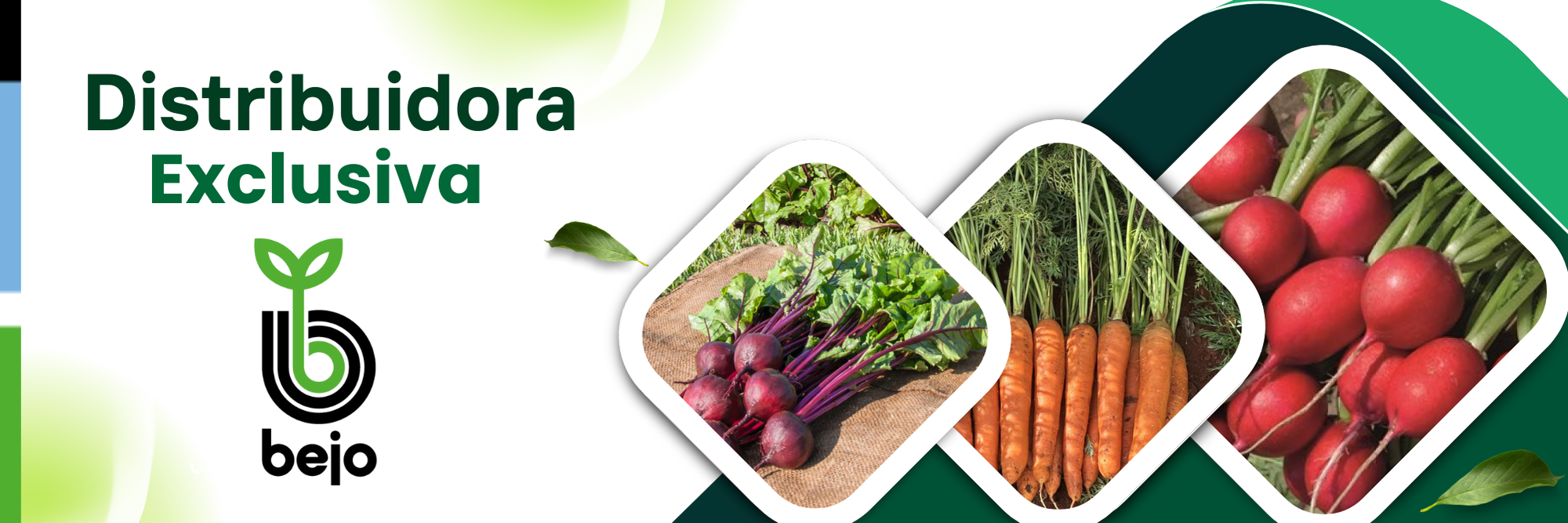 Banner com texto 'Distribuidora Exclusiva' e logos de produtos agrícolas, incluindo beterrabas, cenouras, e rabanetes.