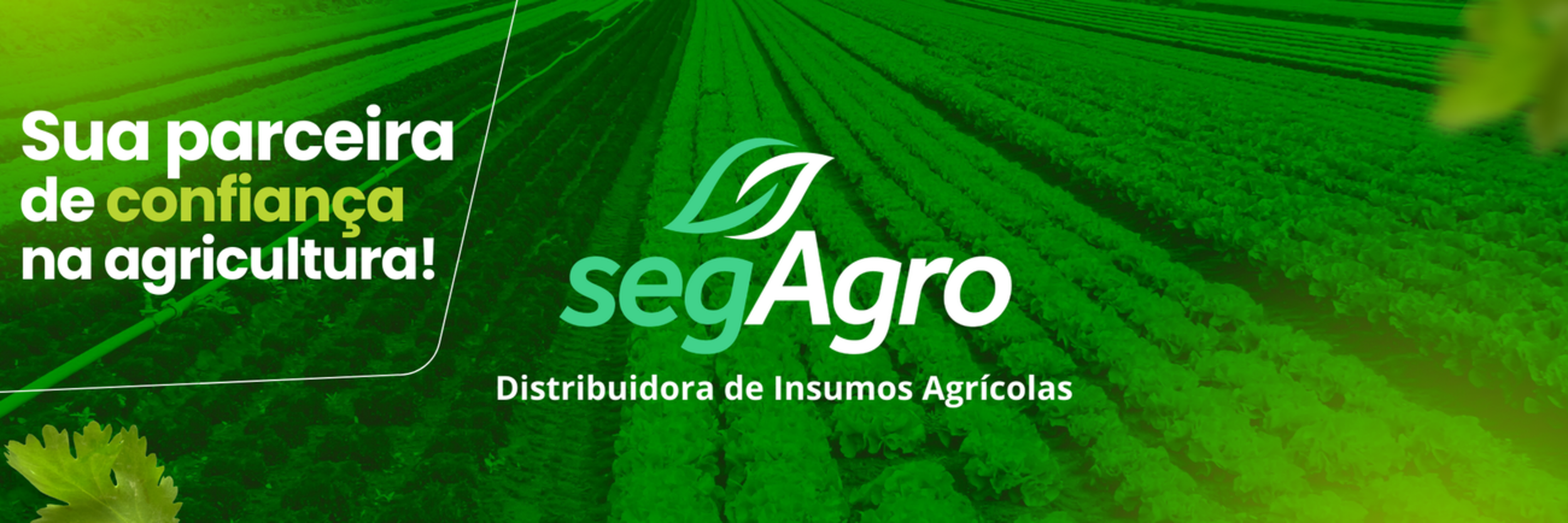 Logotipo da SEGAgro em frente a um campo agrícola com plantações verdes, texto em português promovendo parceria confiável na agricultura.