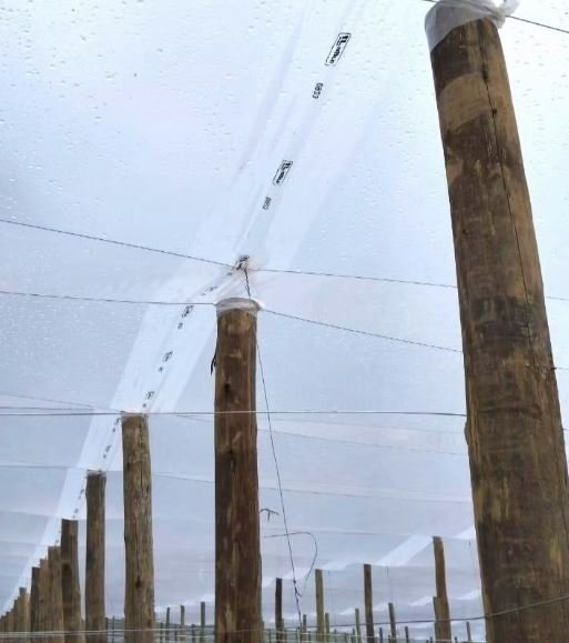 Placas de painel solar instaladas em postos de suporte de madeira, com fios de conexão ao redor, sob céu nublado.