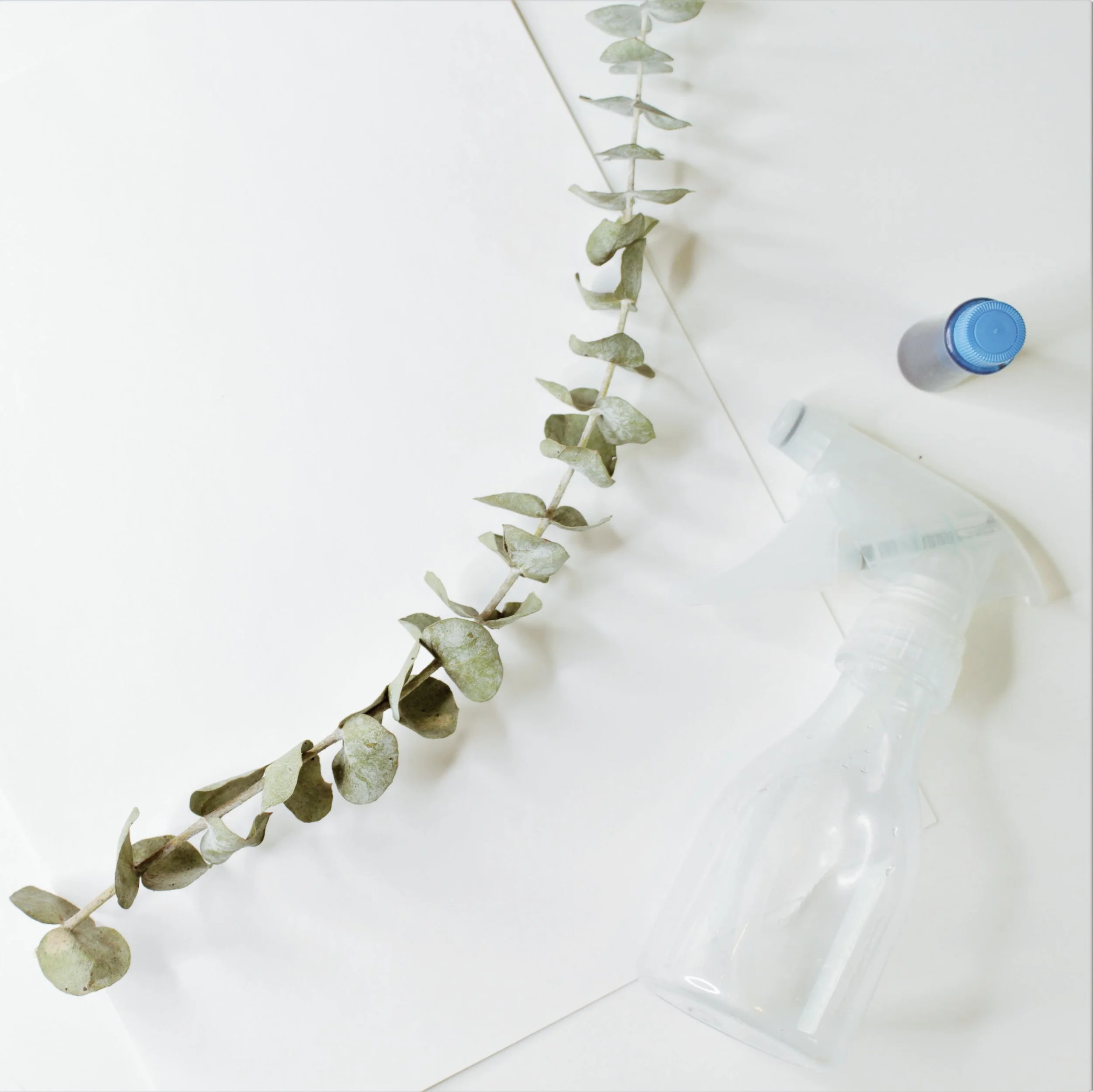 Supplies for a cyanotype-inspired painting project