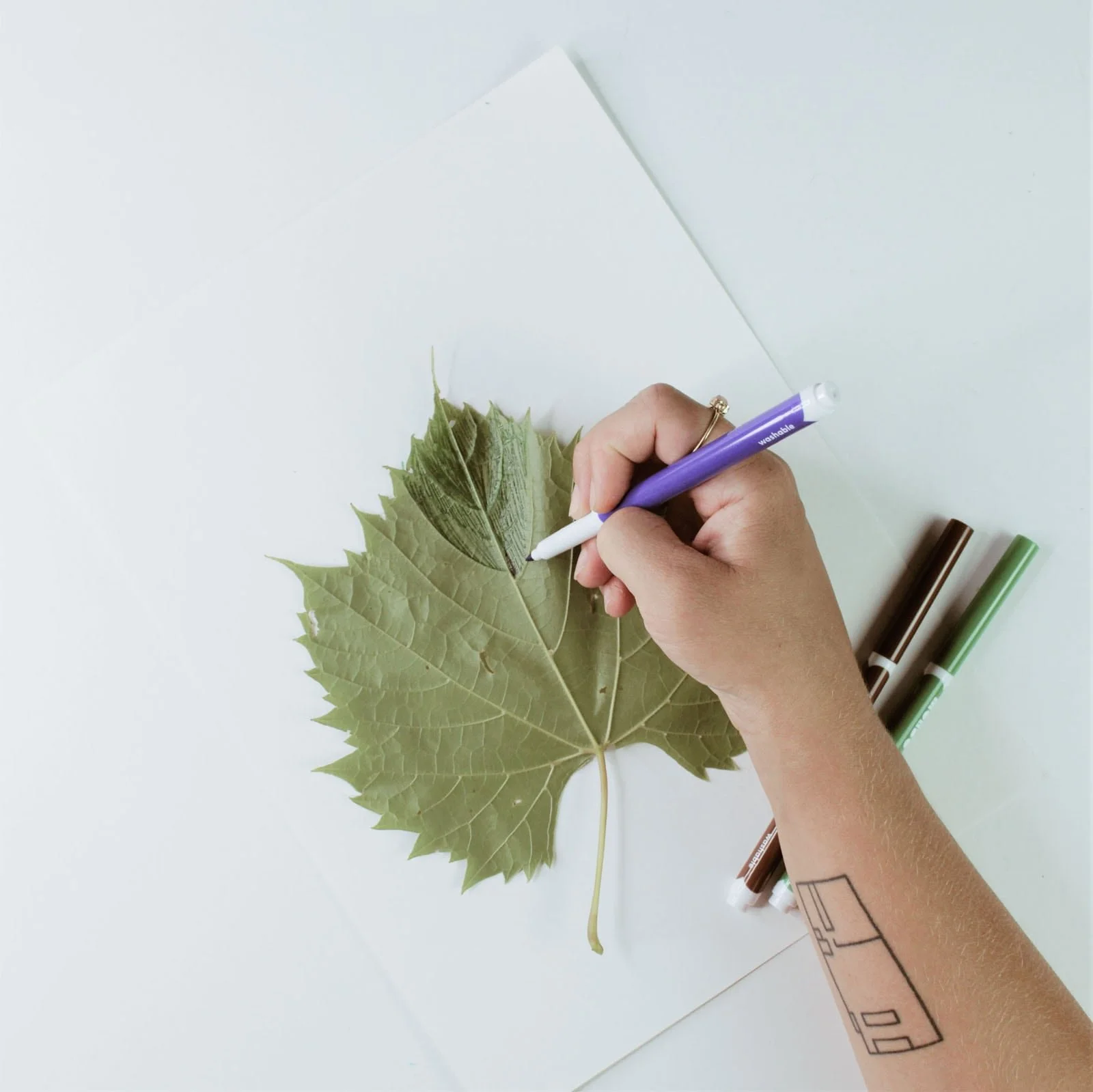 Adding washable marker to leaf for printmaking