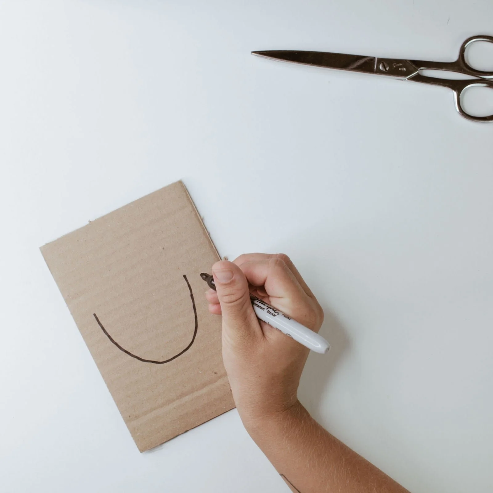 Drawing a u-shape on cardboard for nature portraits