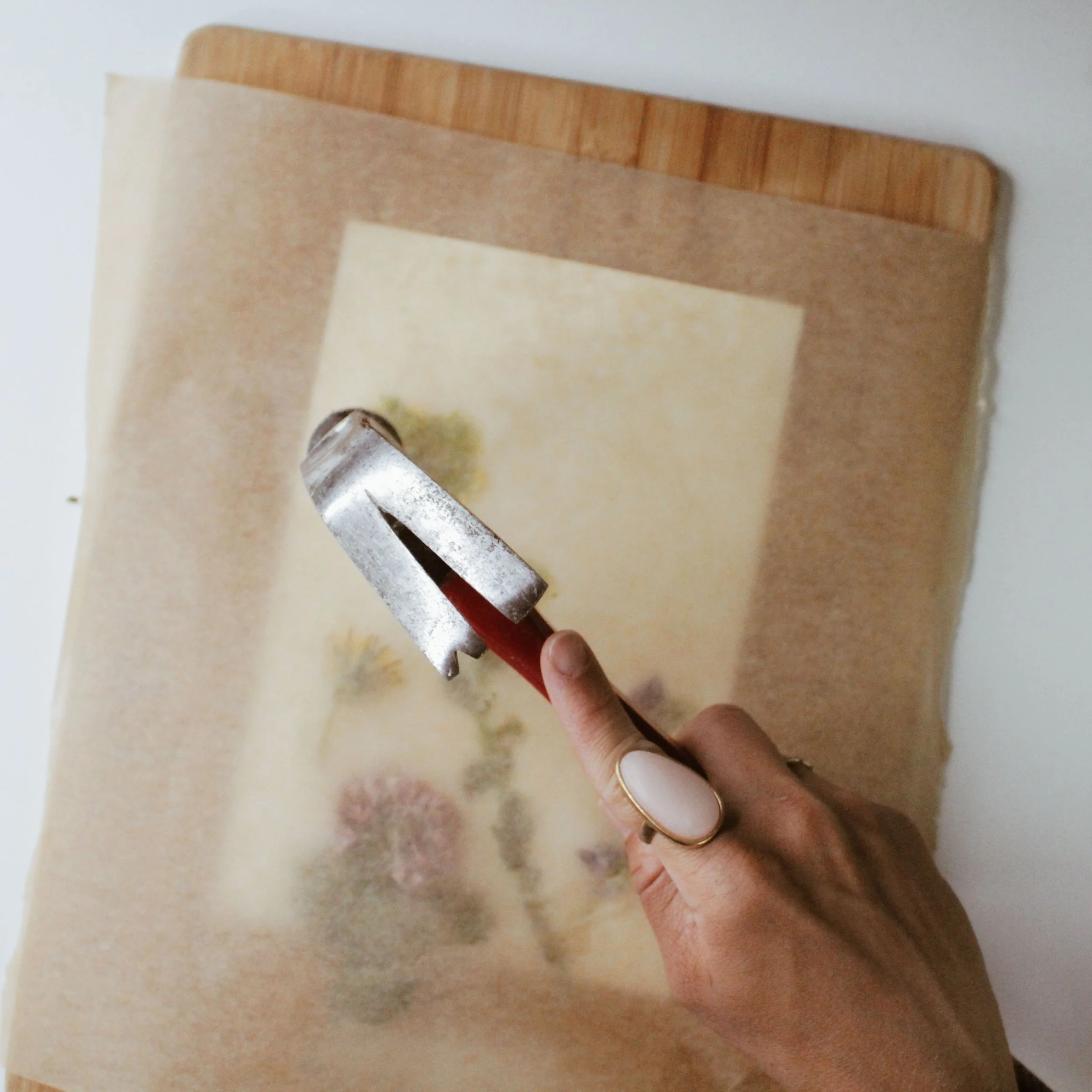 Hammering flowers with parchment paper