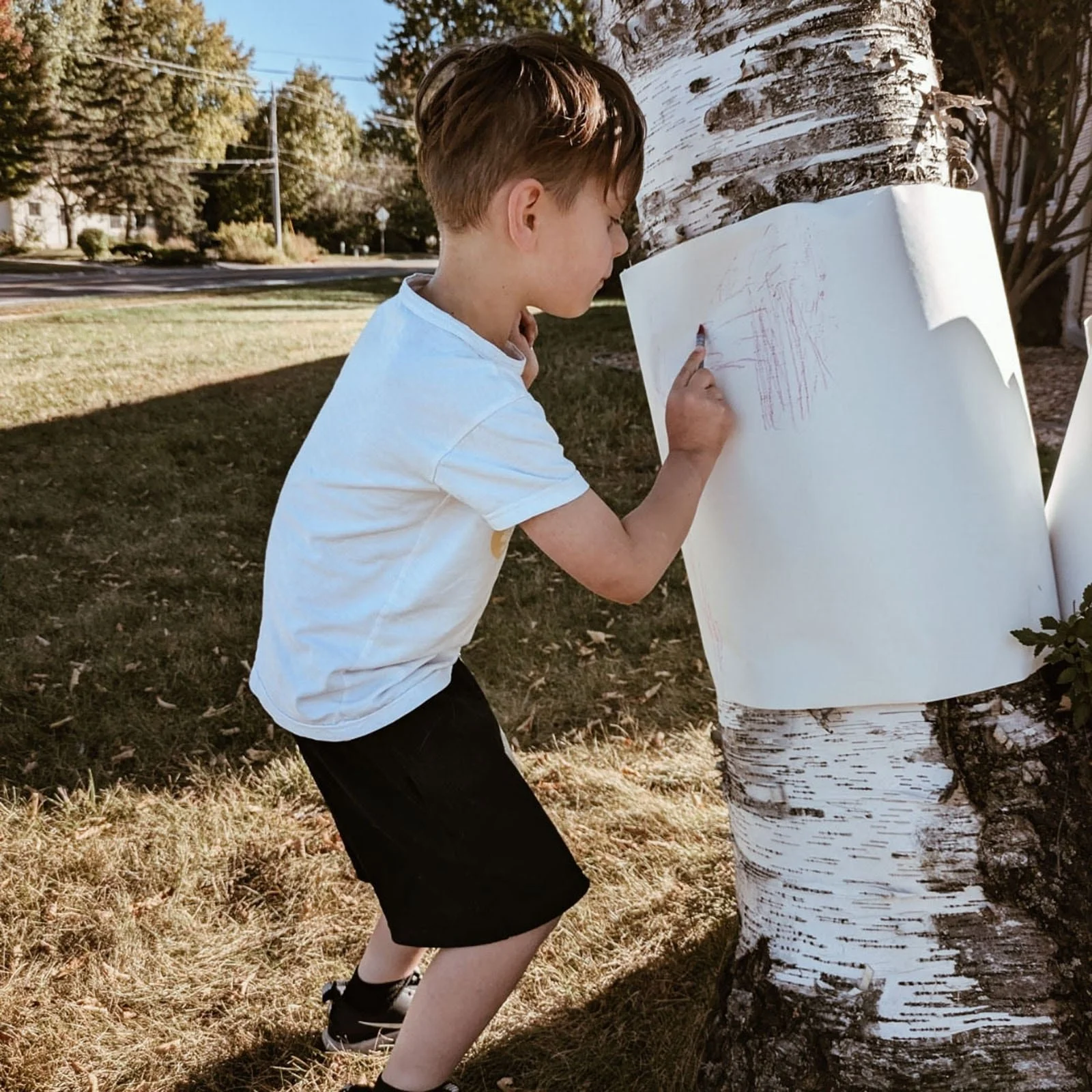 Child using crayon to create a tree bark texture rubbing
