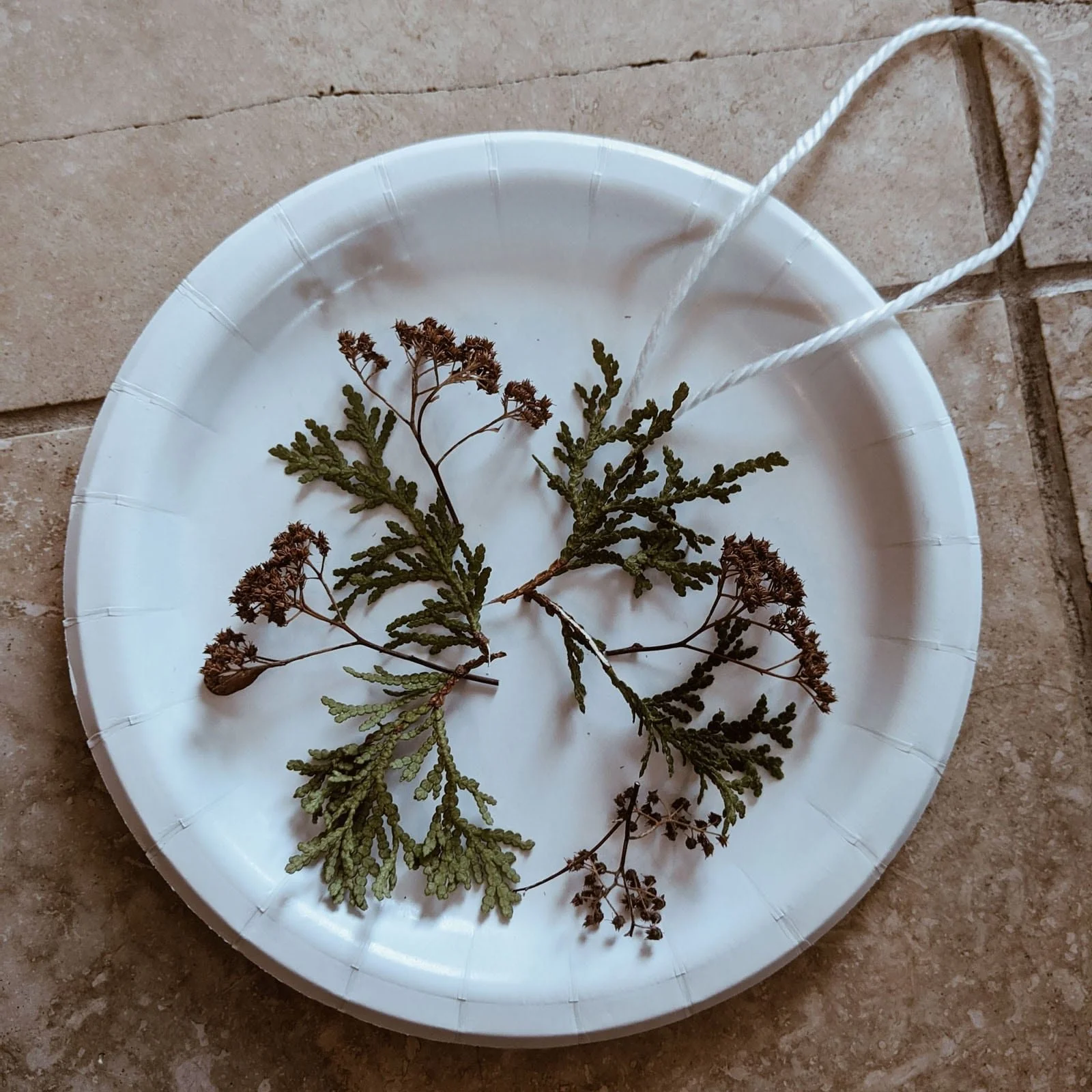 Botanical Ice Suncatchers arranging nature items