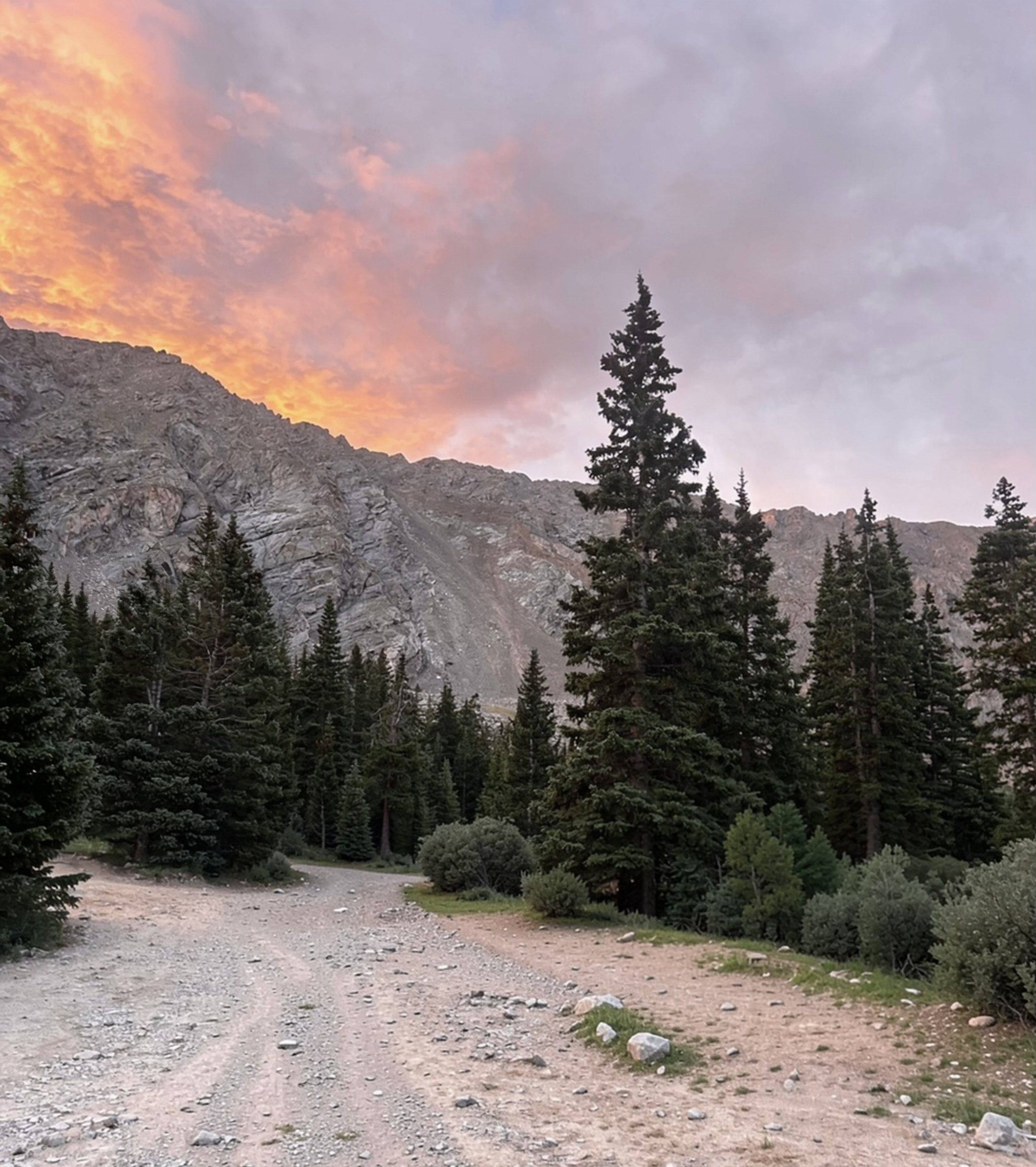 A dirt trail in a mountainous forest at sunset, with tall evergreen trees and rocky mountain slopes in the background.