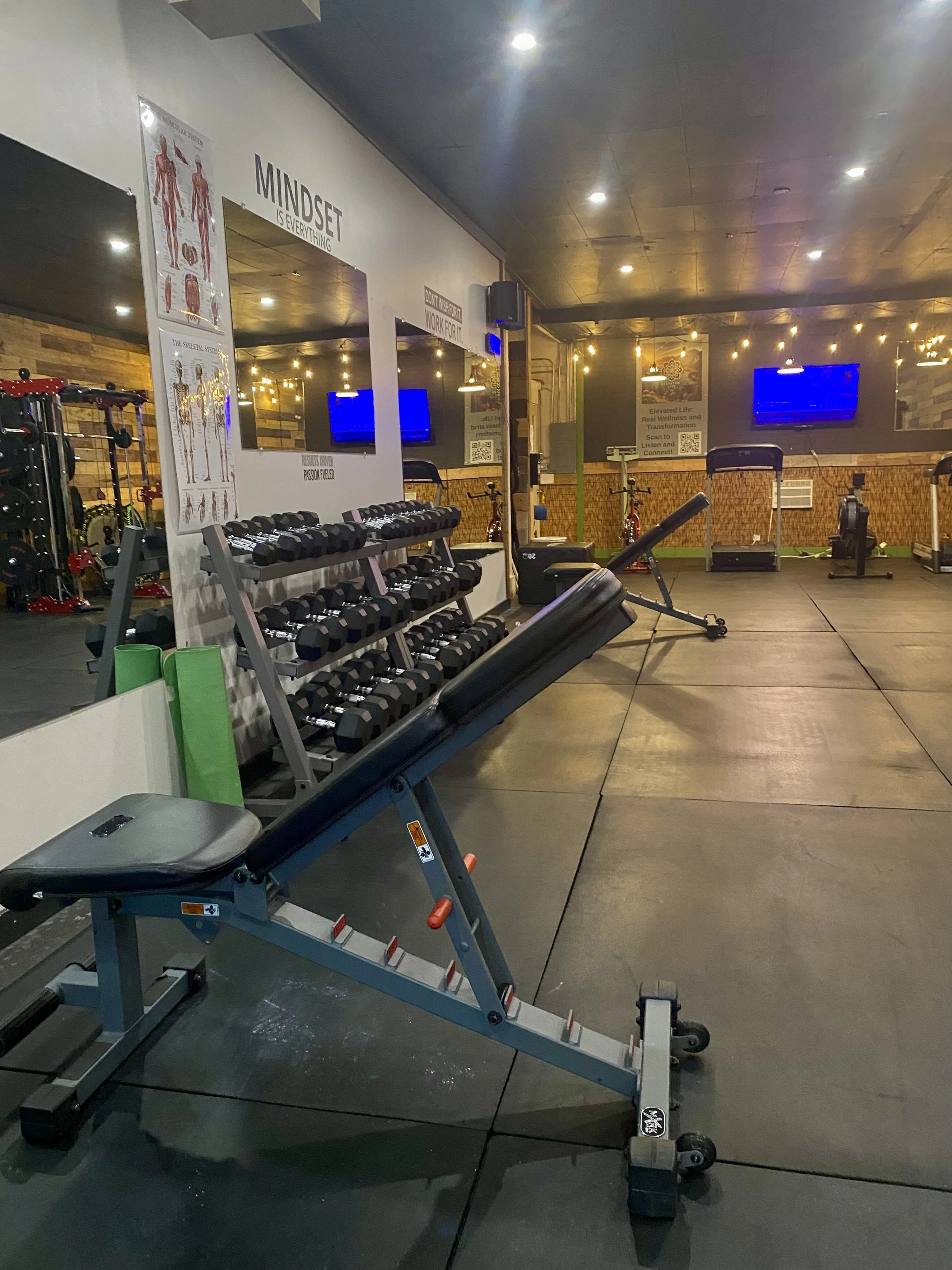 Empty gym with workout benches, dumbbells, treadmills, and exercise bikes, illuminated by ceiling lights.