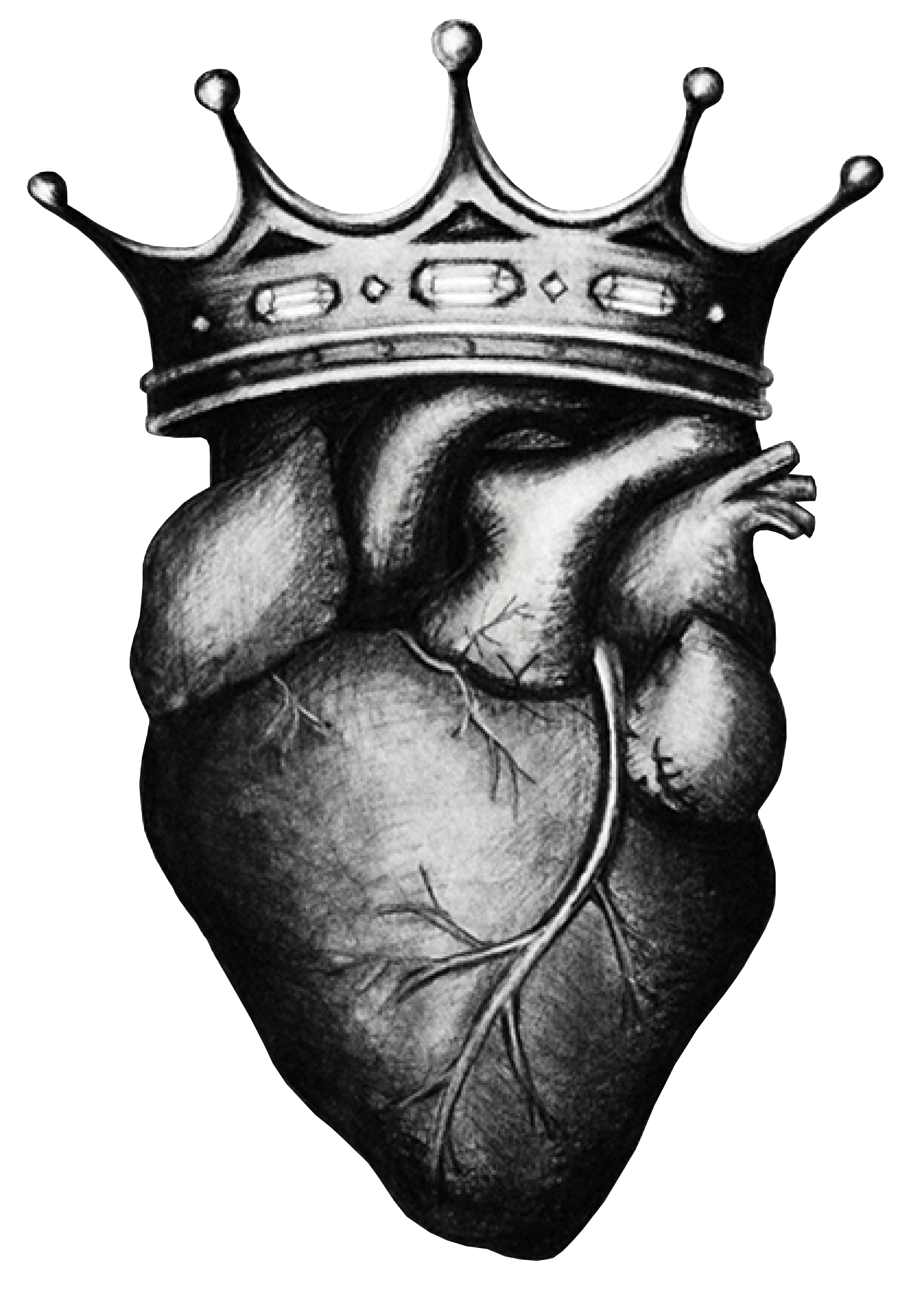 Heart Rules pencil drawing