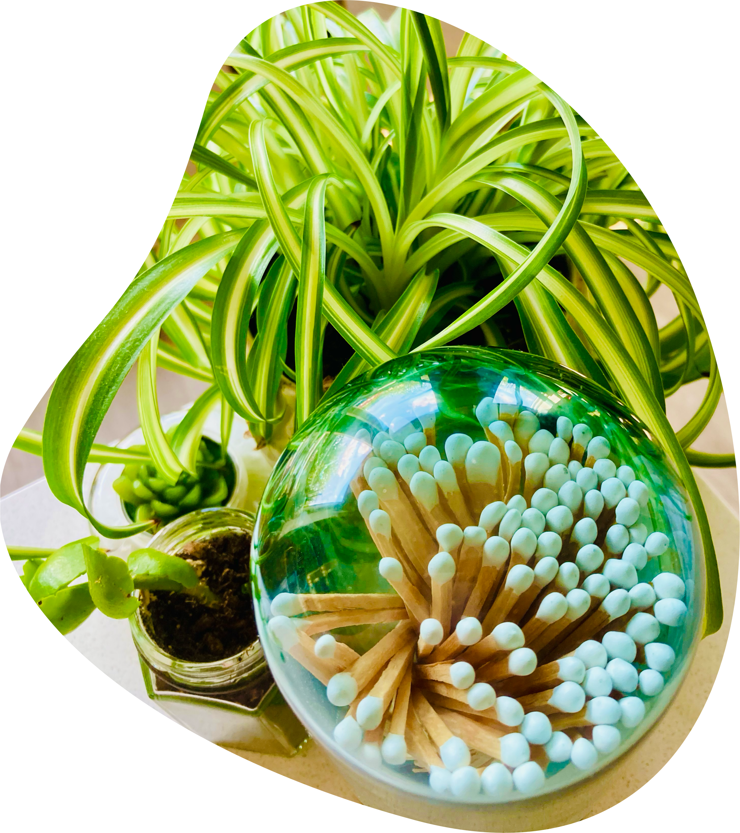 A glass container with white and beige matchsticks inside, a potted plant with green and yellow striped leaves, and a spherical glass paperweight with white round-topped stems inside.