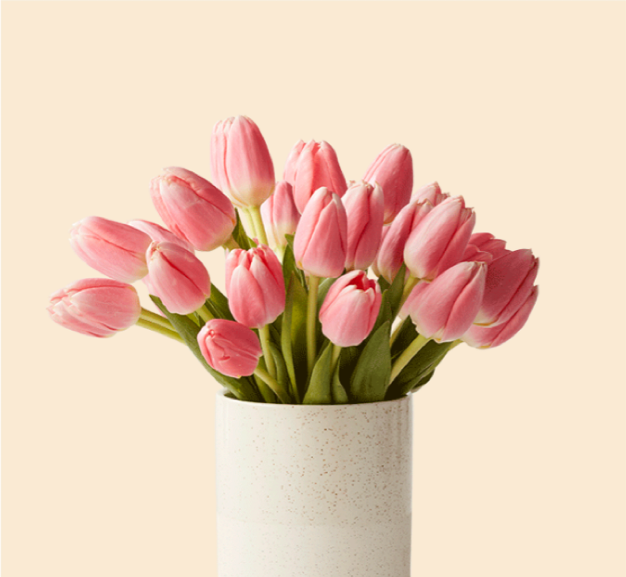 Pink tulips in a white vase against a light beige background.
