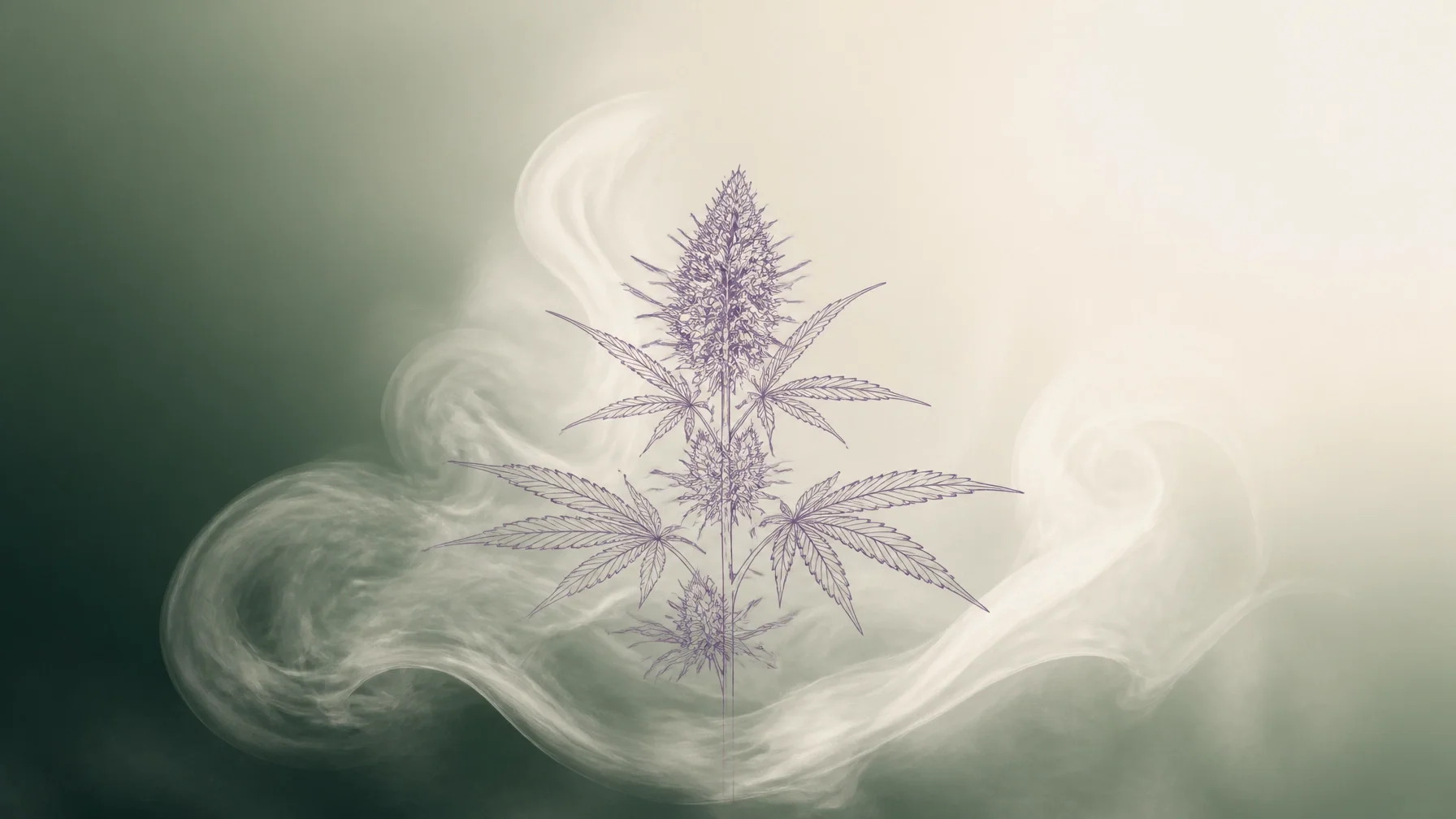 Fast-Acting Relief: Why Some Patients Choose Vaporization