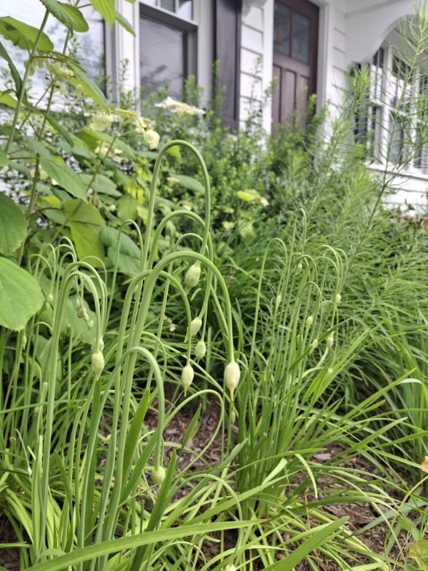 Residence in Nyack After 9.jpg