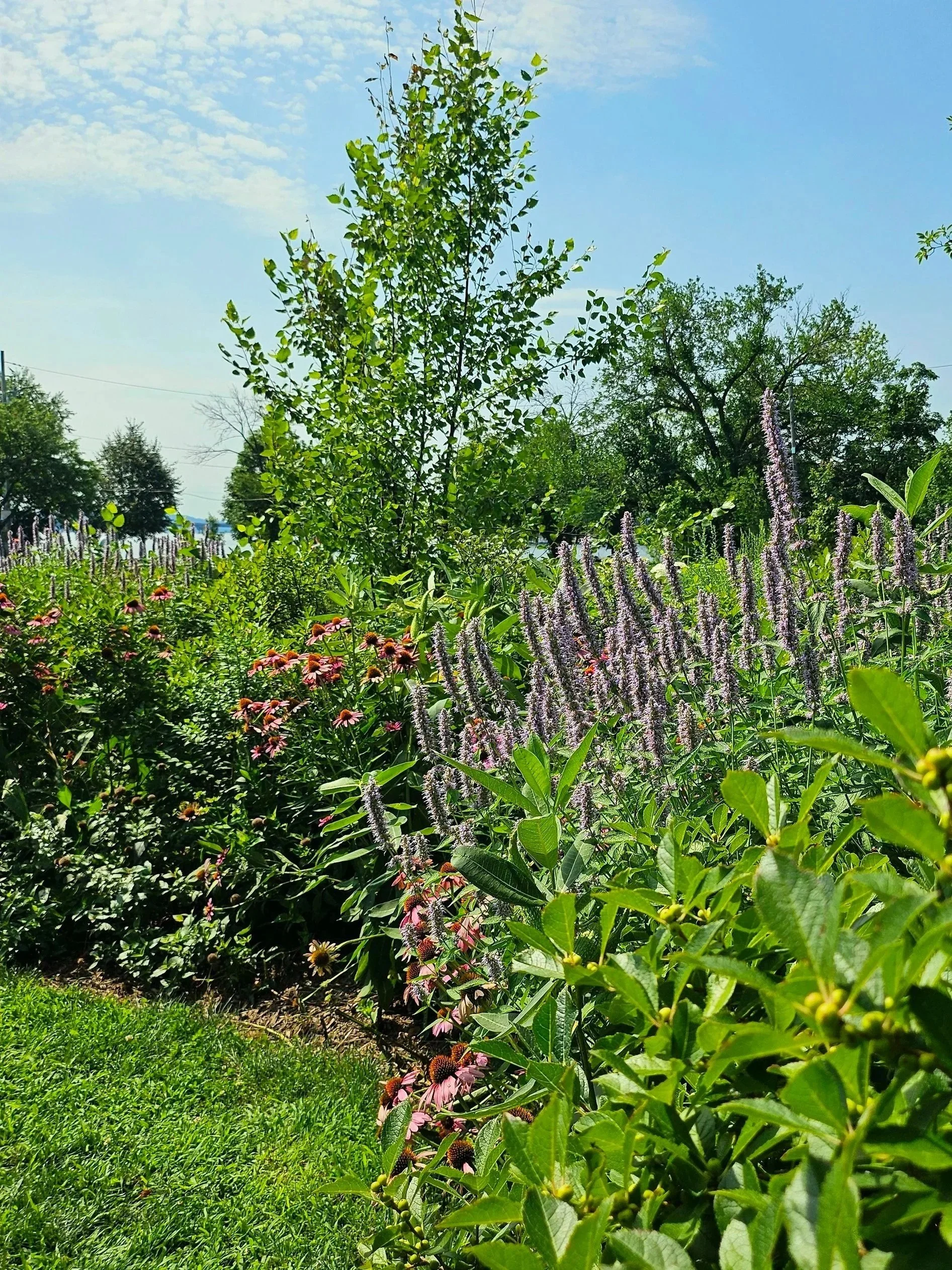 20260727_104540.jpg