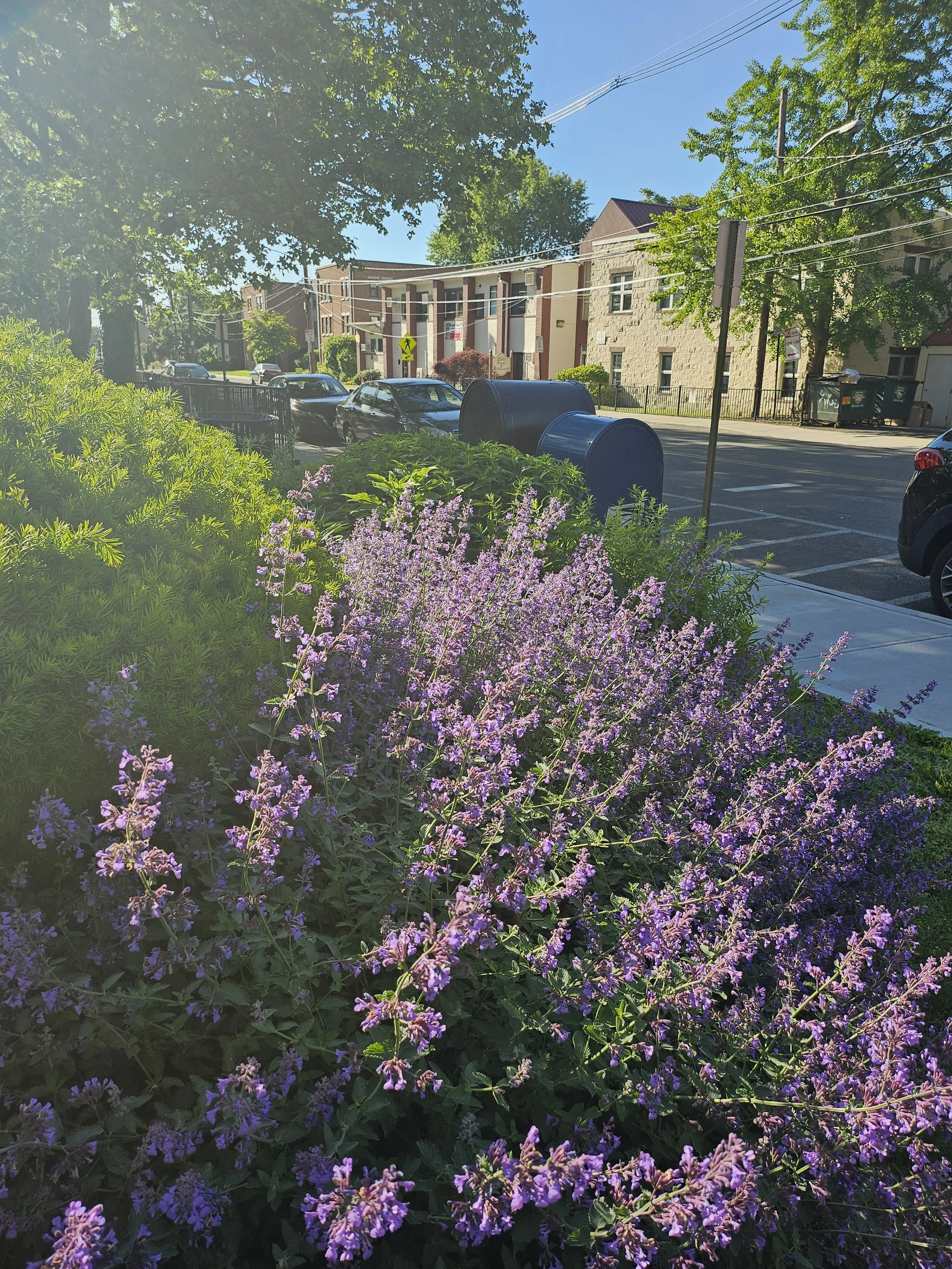 Senior Center After 9.jpg