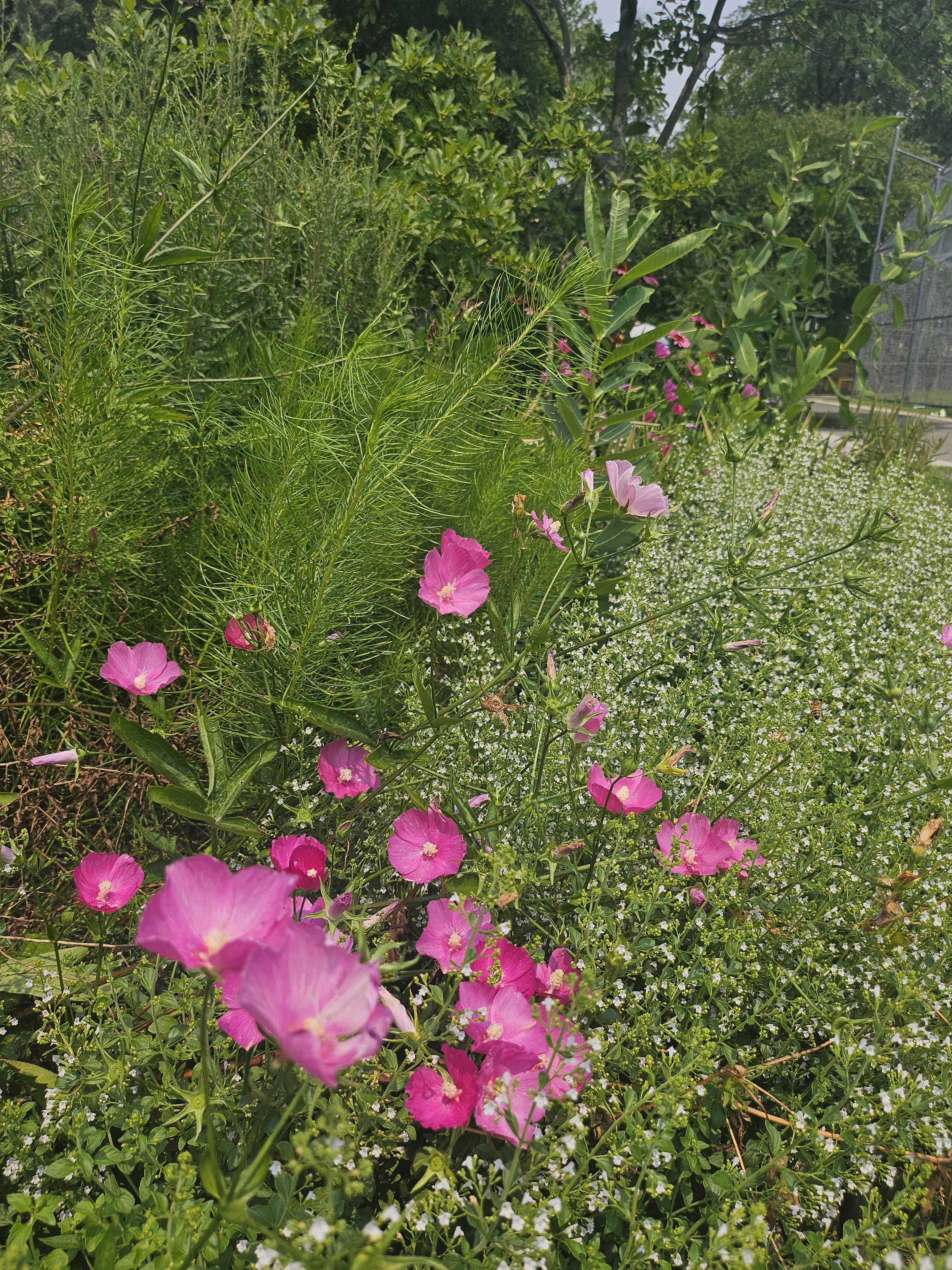 20260715_131140.jpg