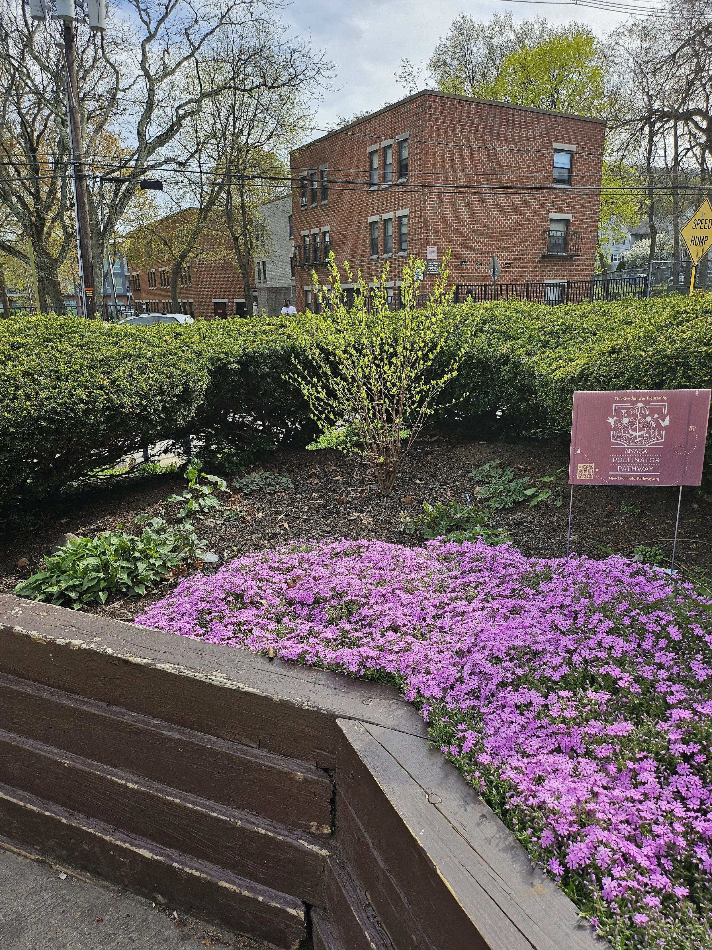 Senior Center After 8.jpg