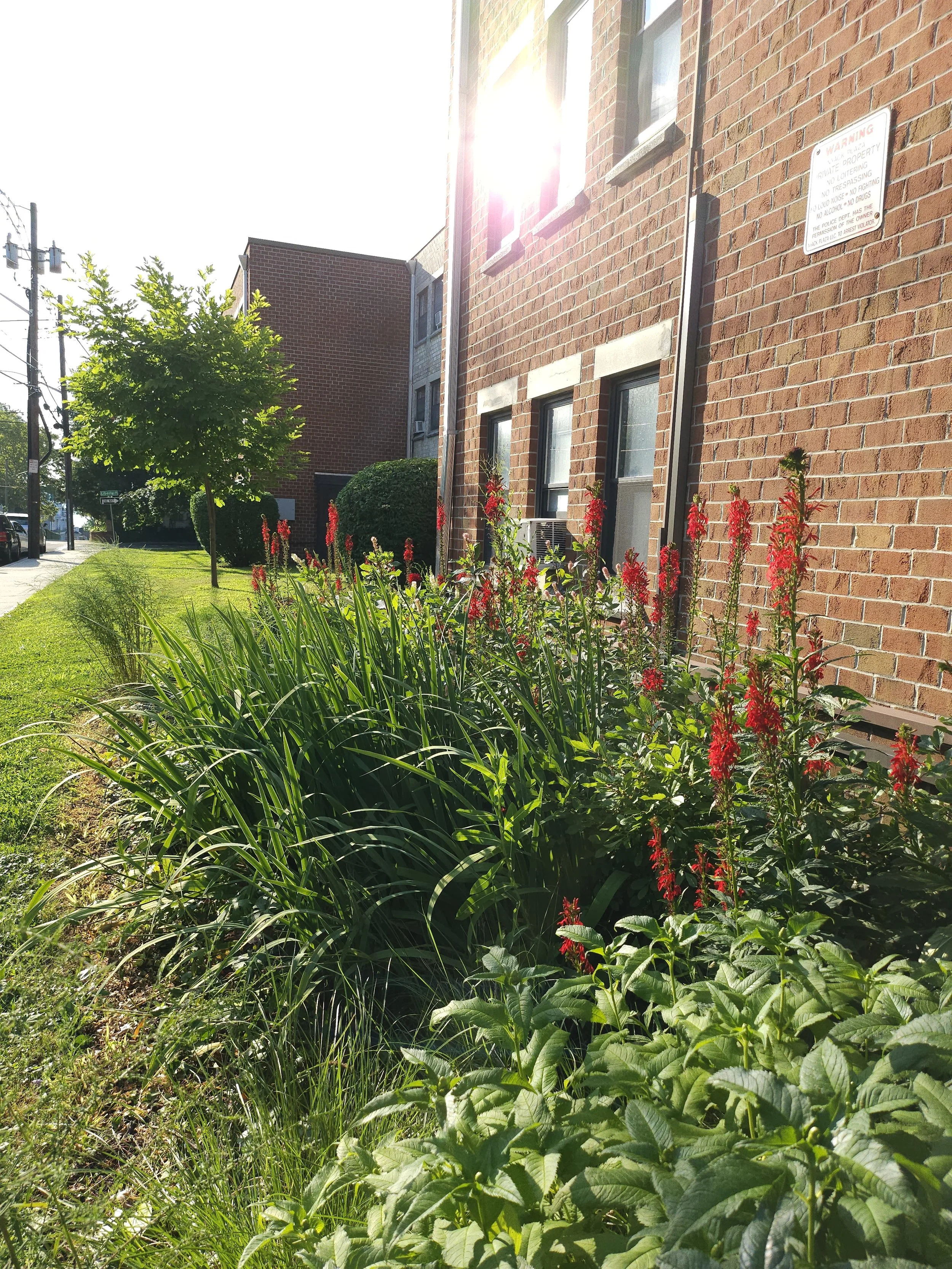 Headstart Garden 11.jpg