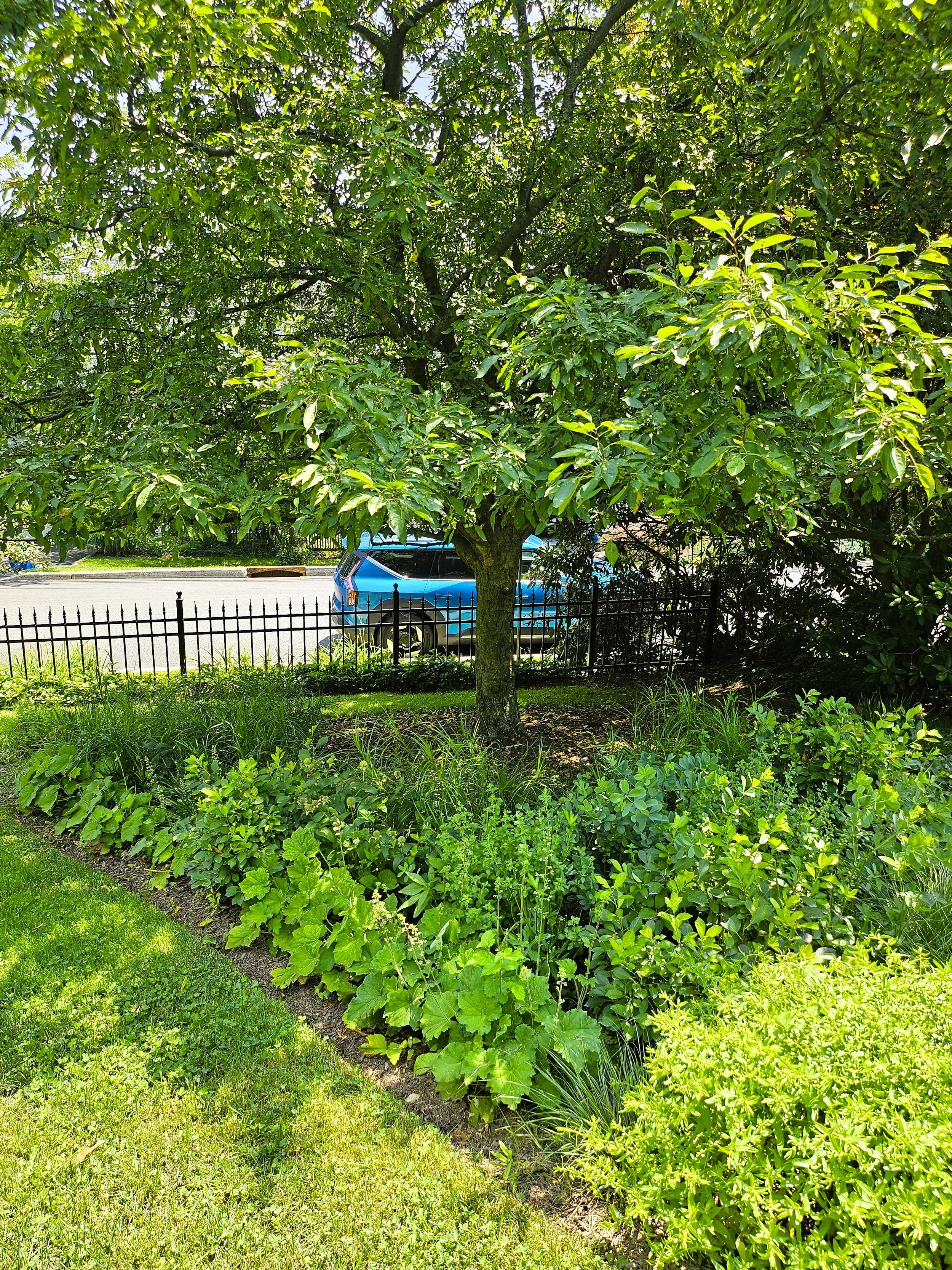 20250703_123340.jpg