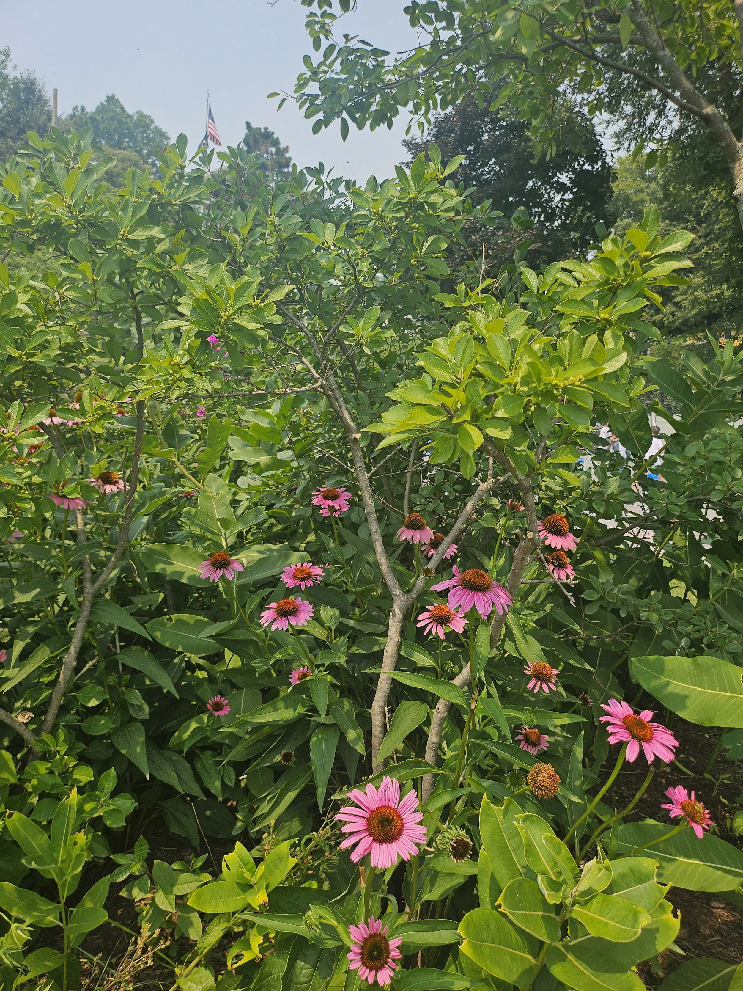 20260715_131213.jpg