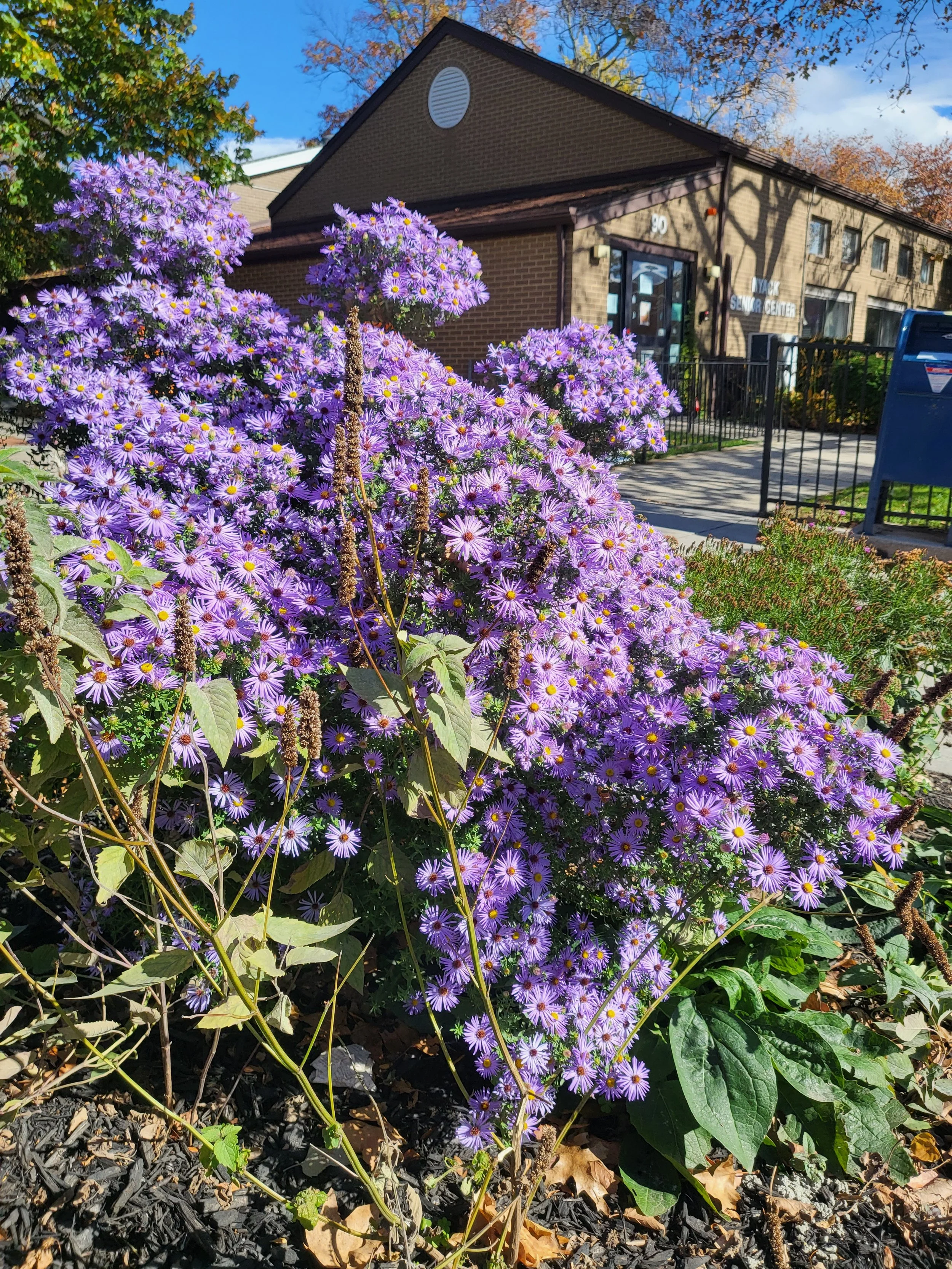 Senior Center After 6.jpg