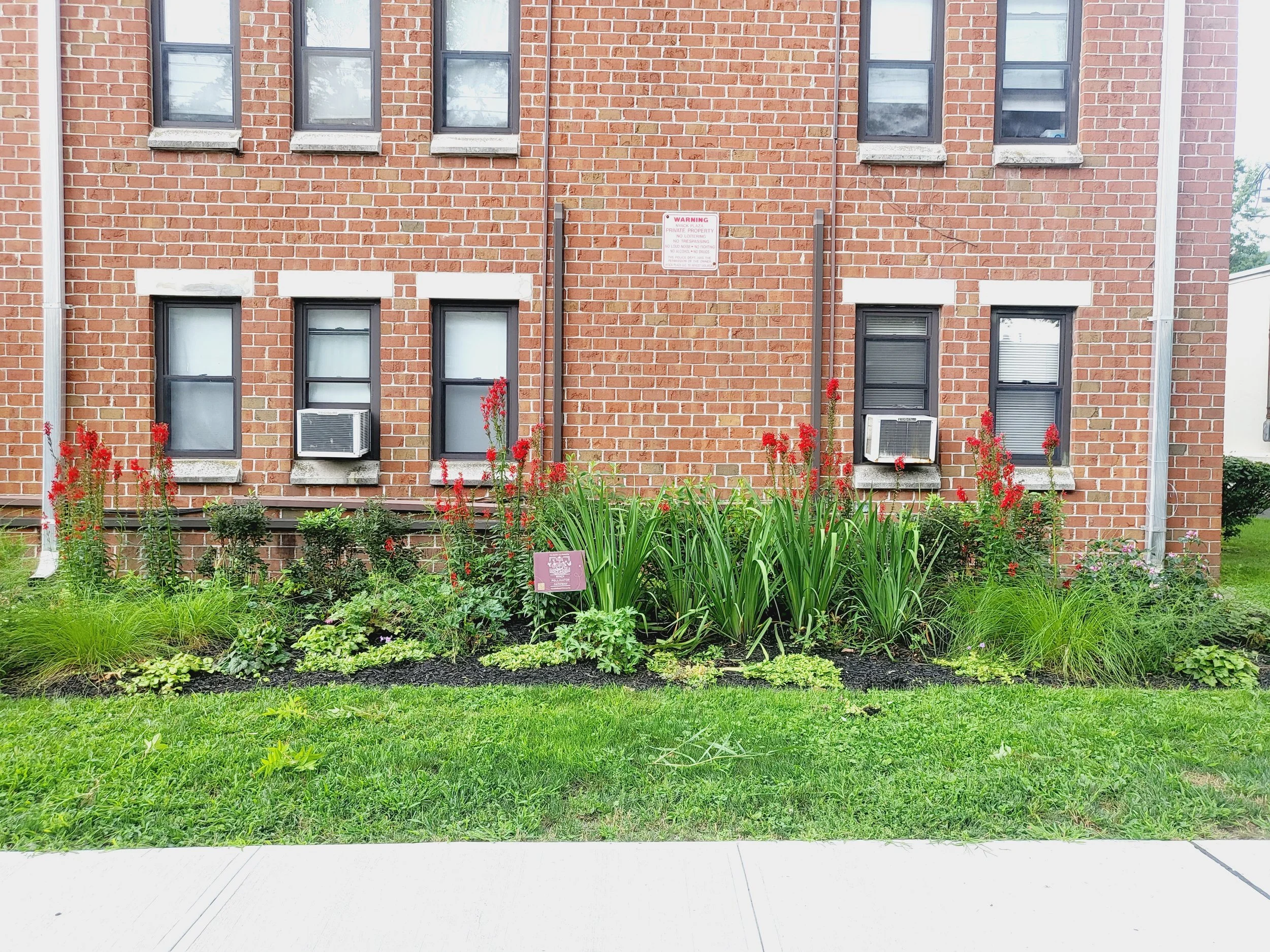 Headstart Garden 4.jpg